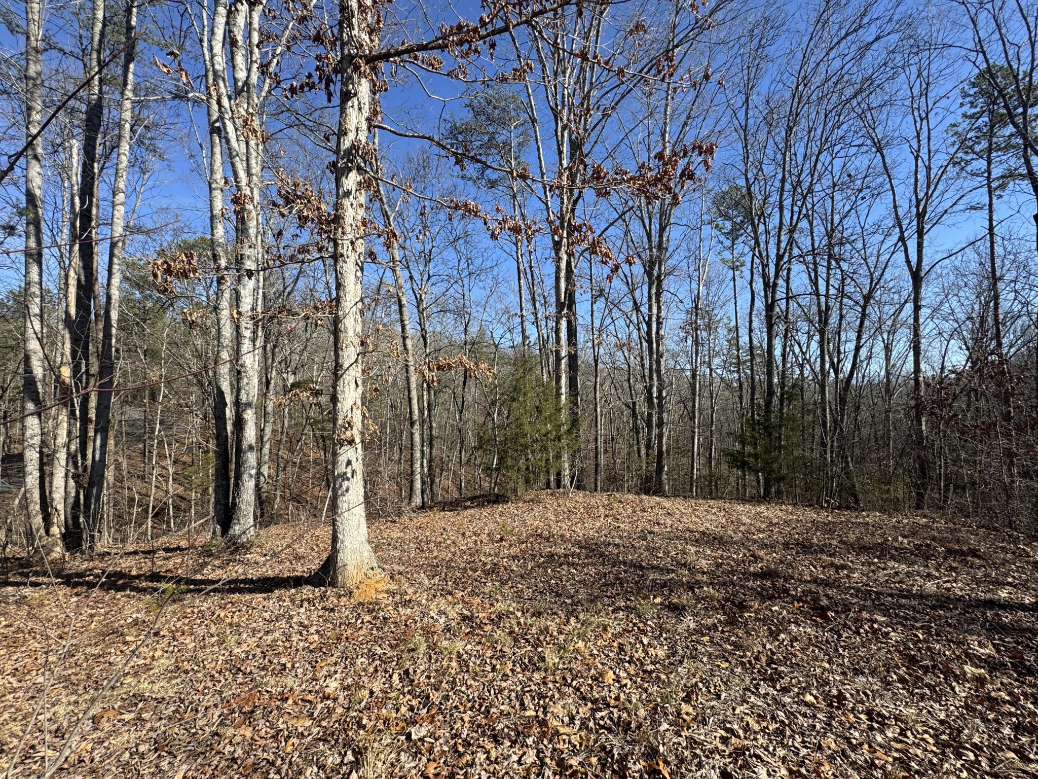 0 Fox Trail Drive Property Photo 9