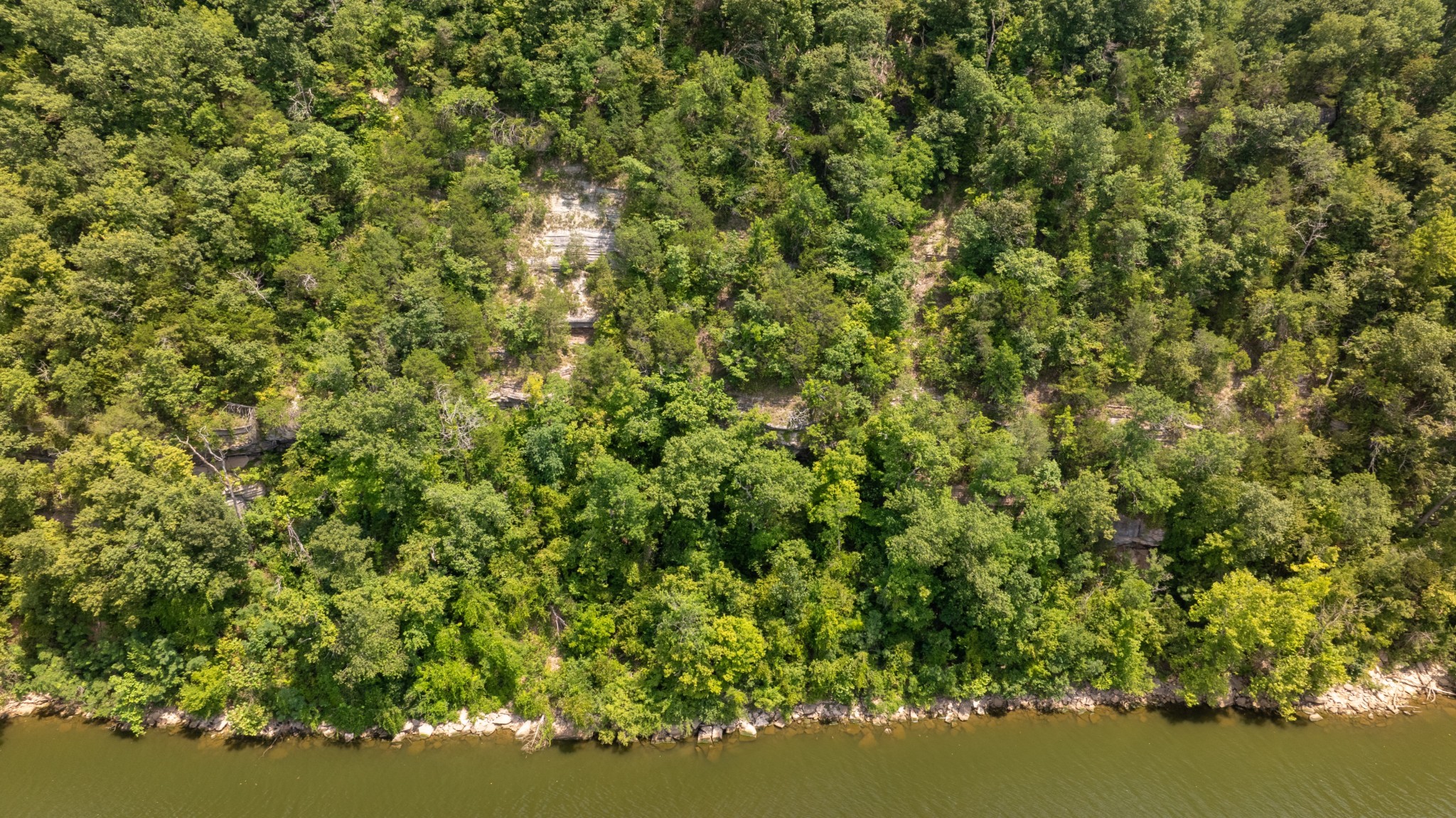 555 New Era Bluff Rd Property Photo 6