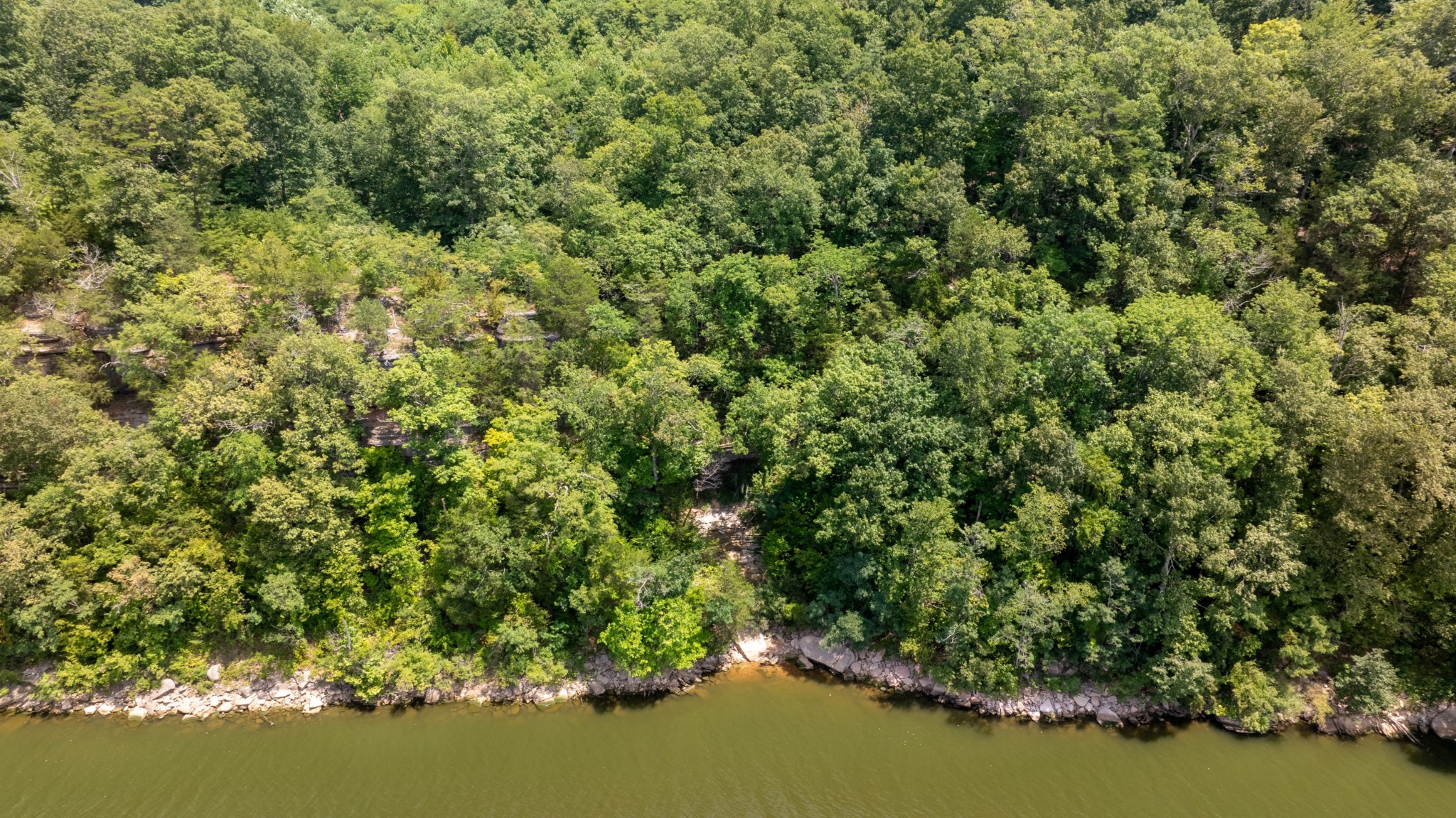 555 New Era Bluff Rd Property Photo 7