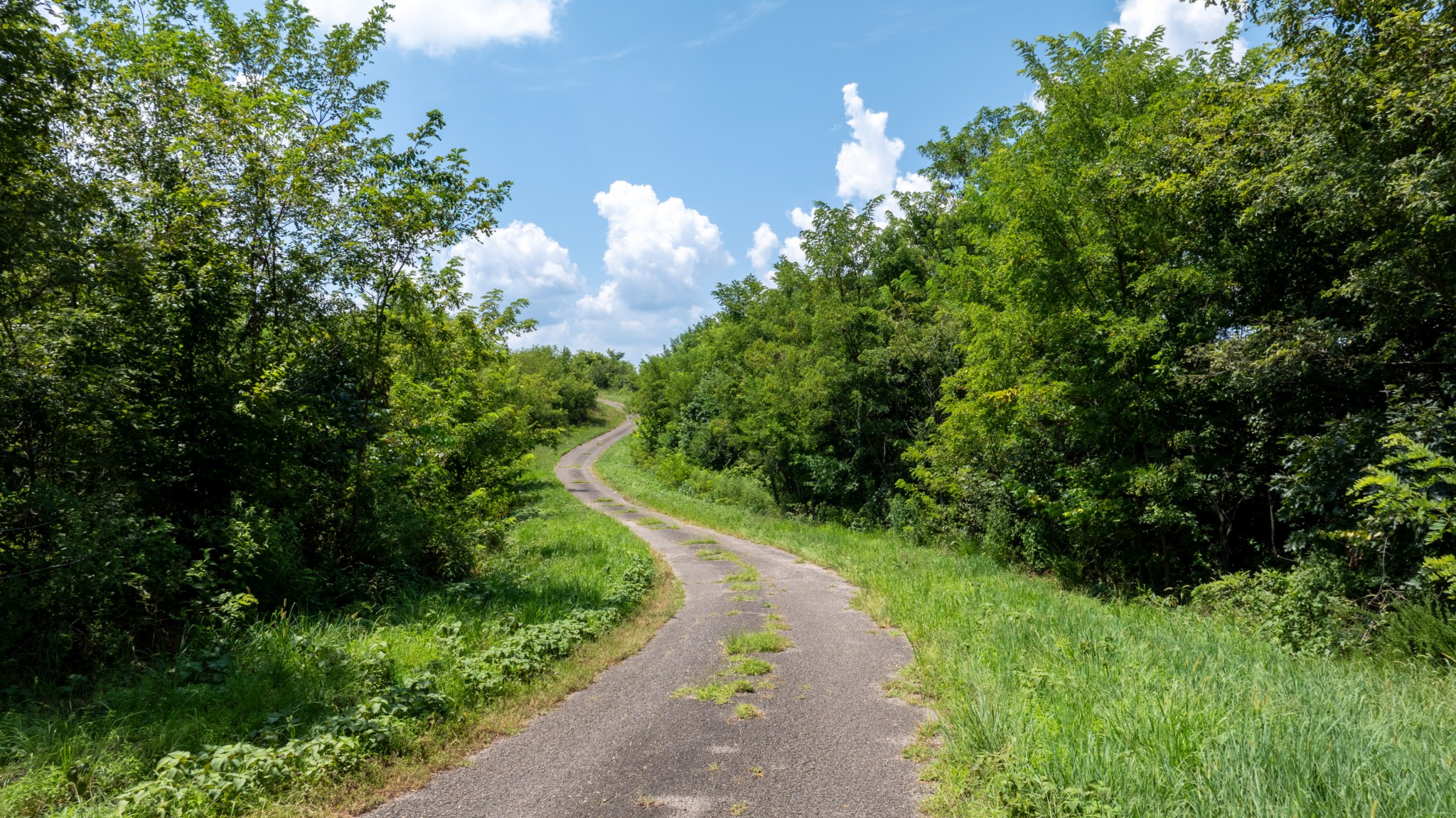 555 New Era Bluff Rd Property Photo 35