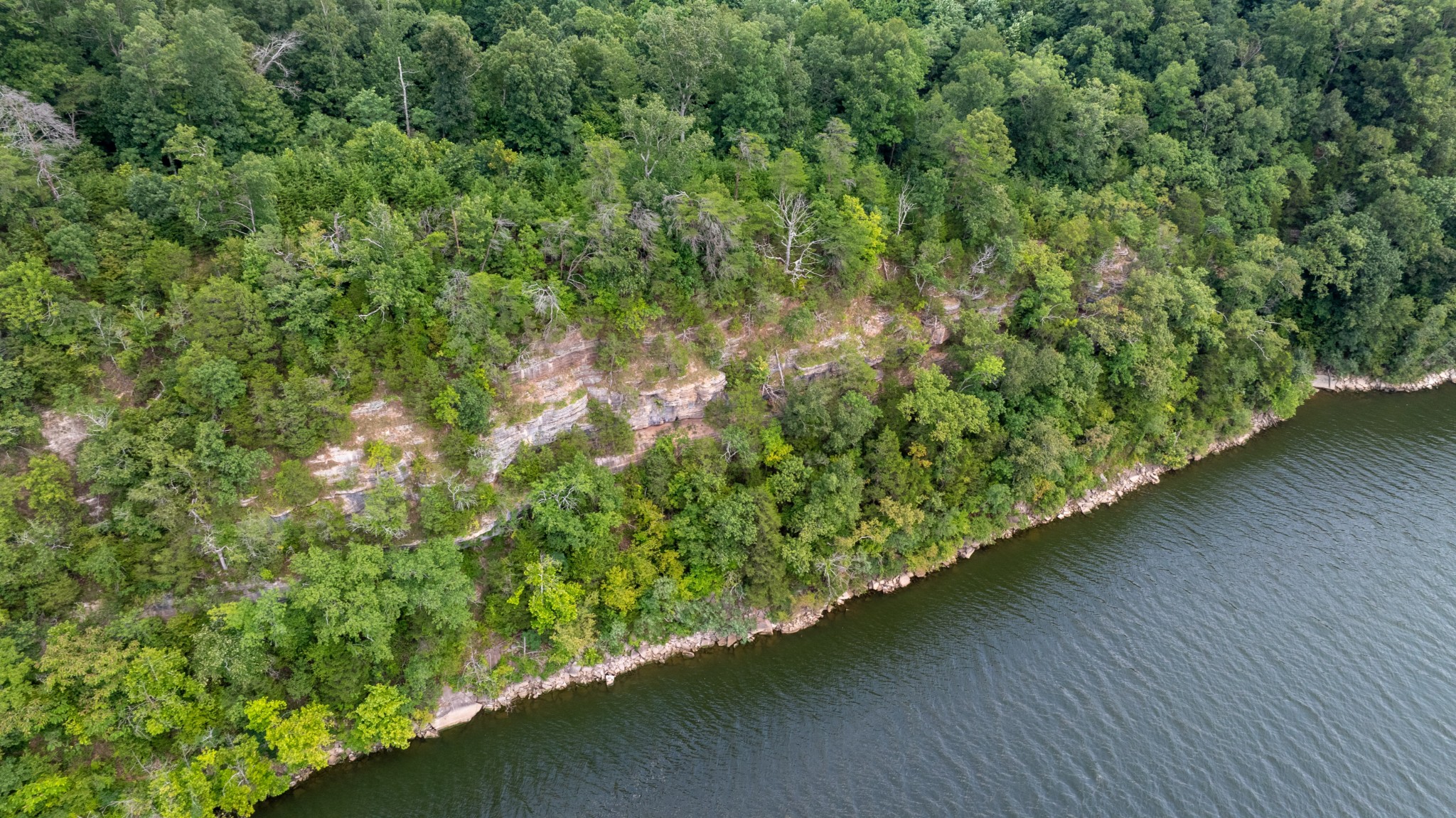 555 New Era Bluff Rd Property Photo 39