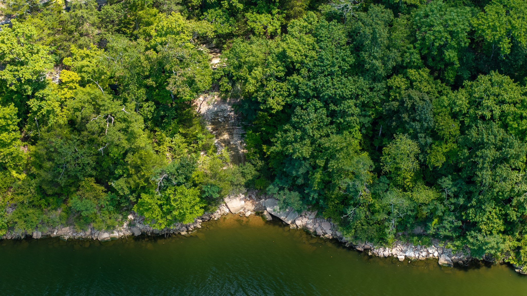 555 New Era Bluff Rd Property Photo 42