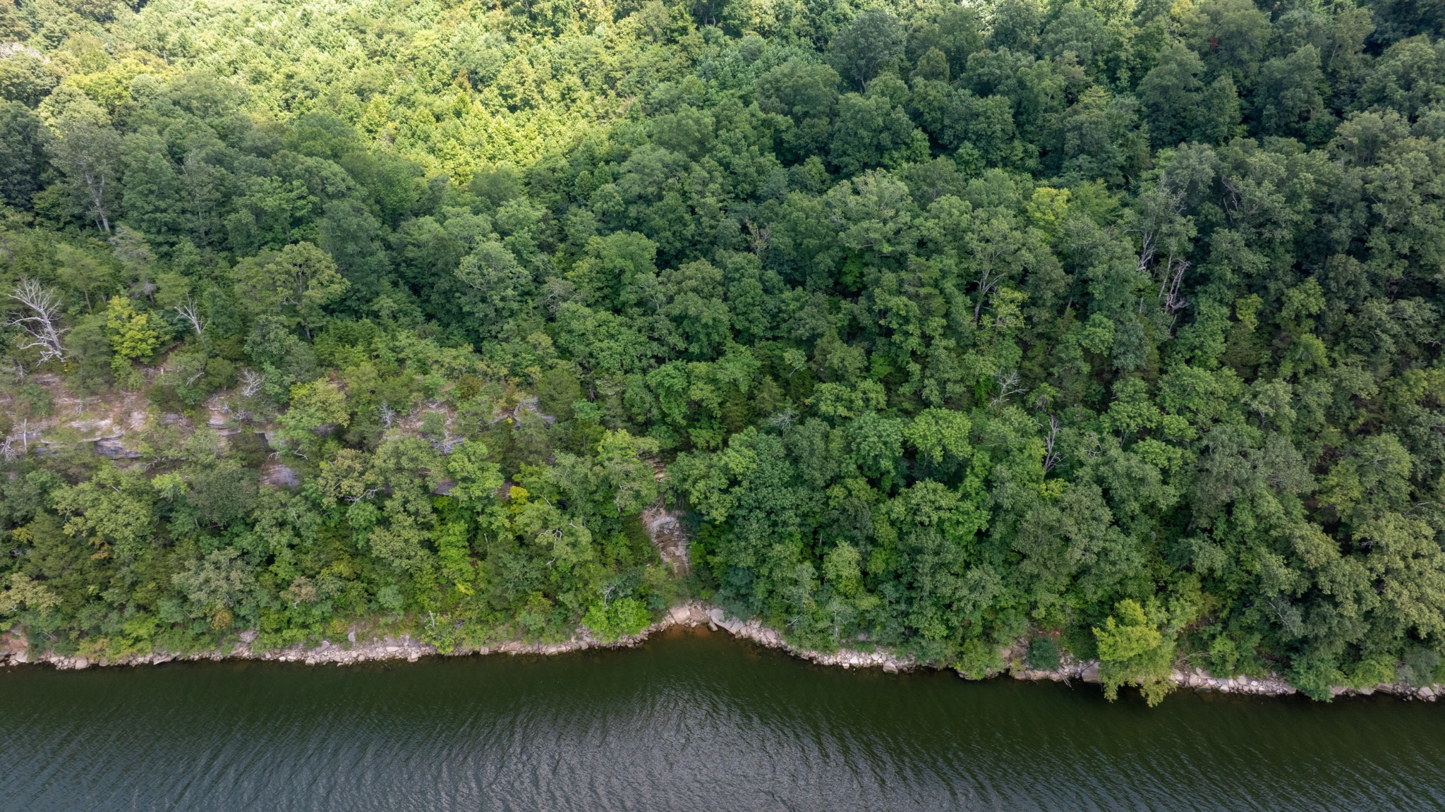 555 New Era Bluff Rd Property Photo 43