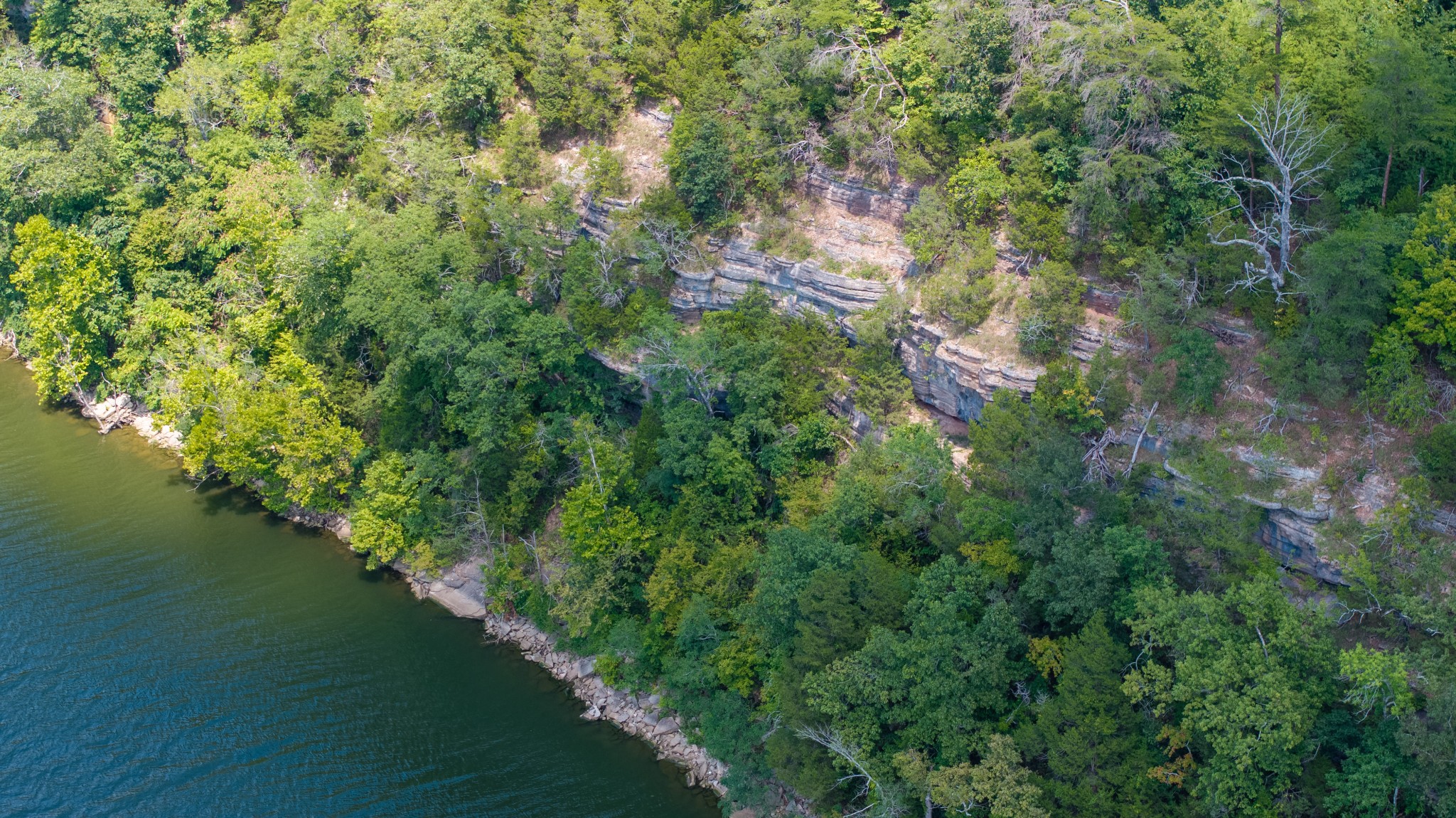 555 New Era Bluff Rd Property Photo 44