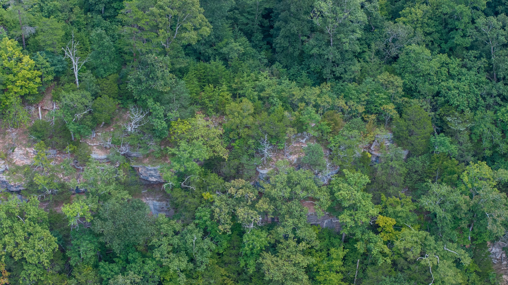 555 New Era Bluff Rd Property Photo 45