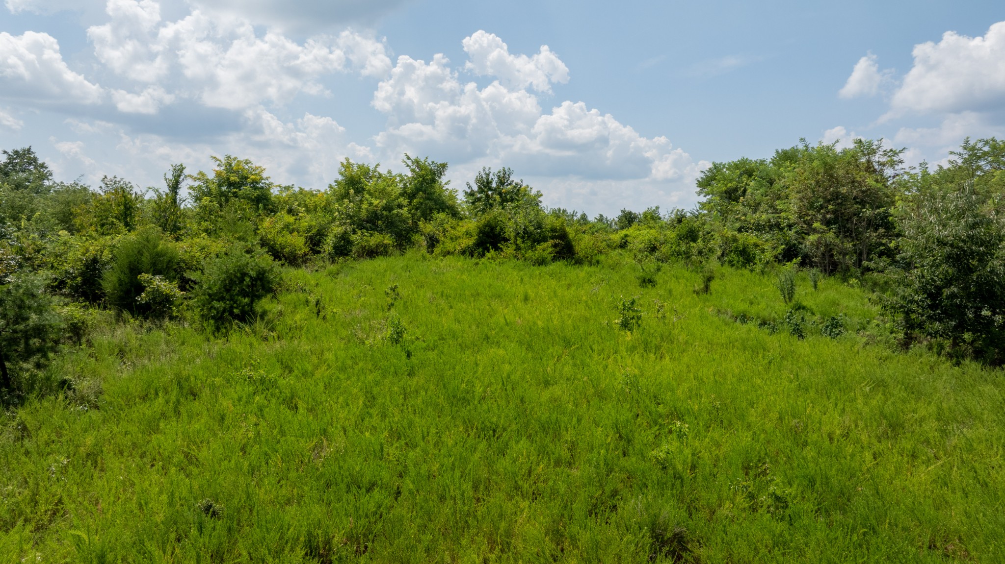 555 New Era Bluff Rd Property Photo 50