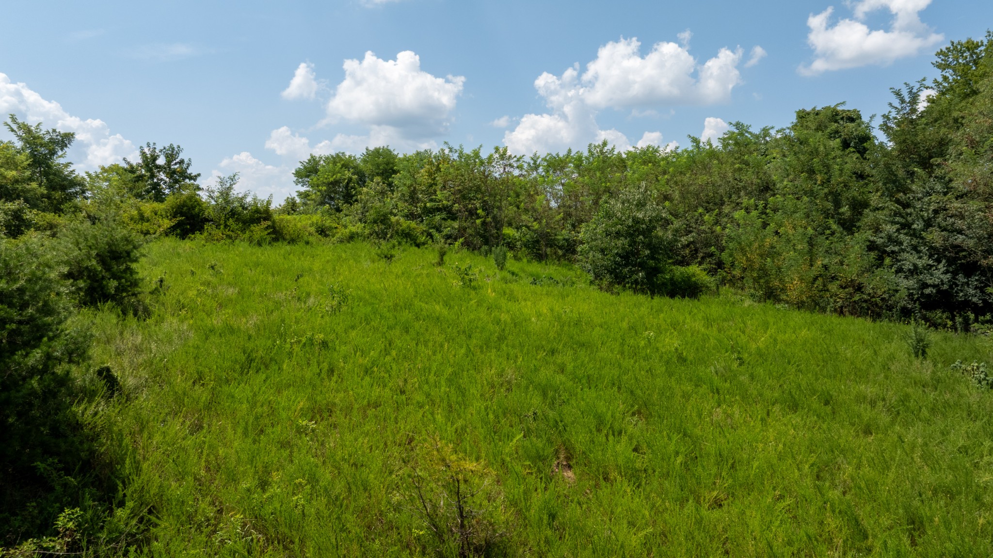 555 New Era Bluff Rd Property Photo 51