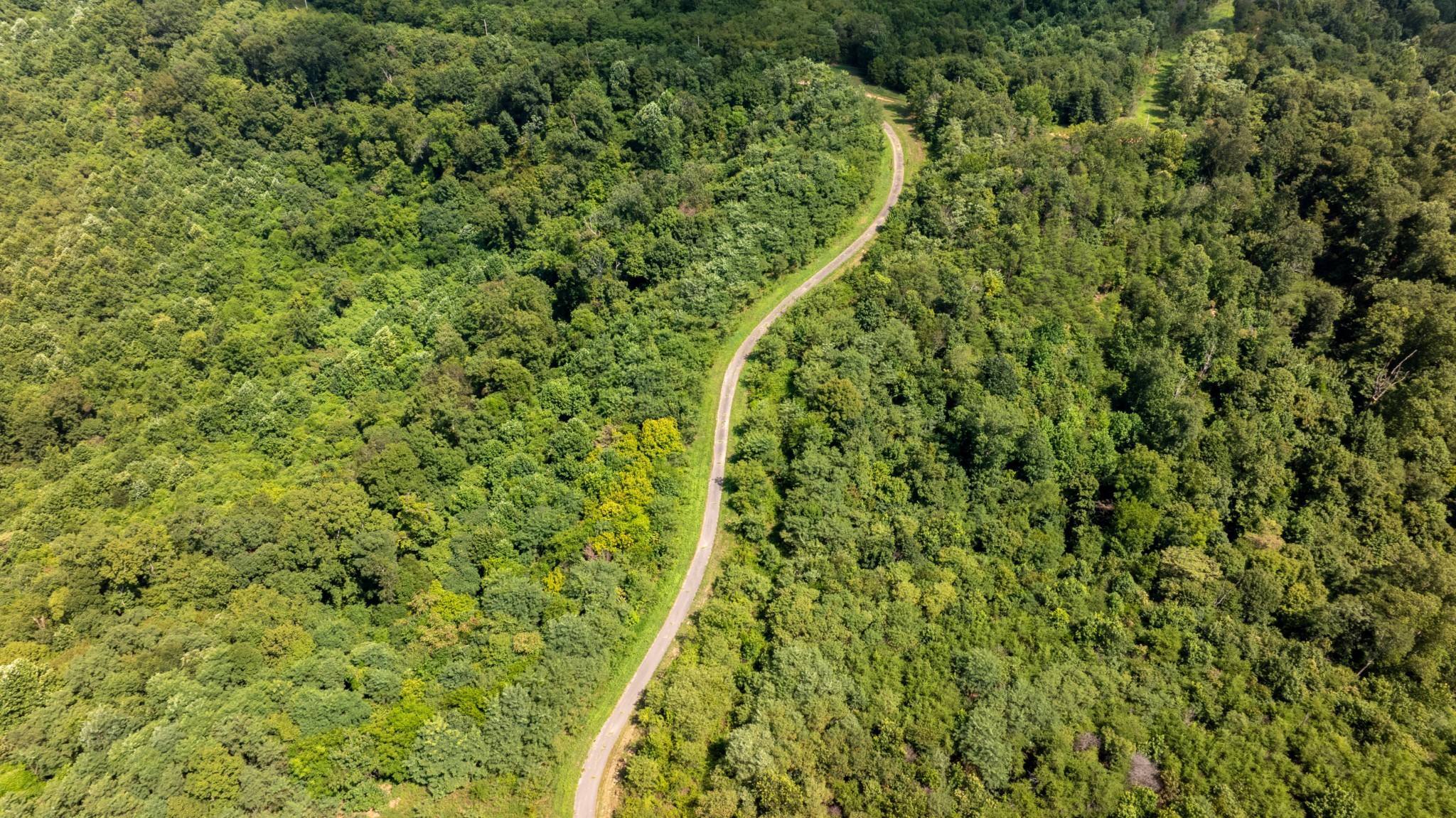 555 New Era Bluff Rd Property Photo 59