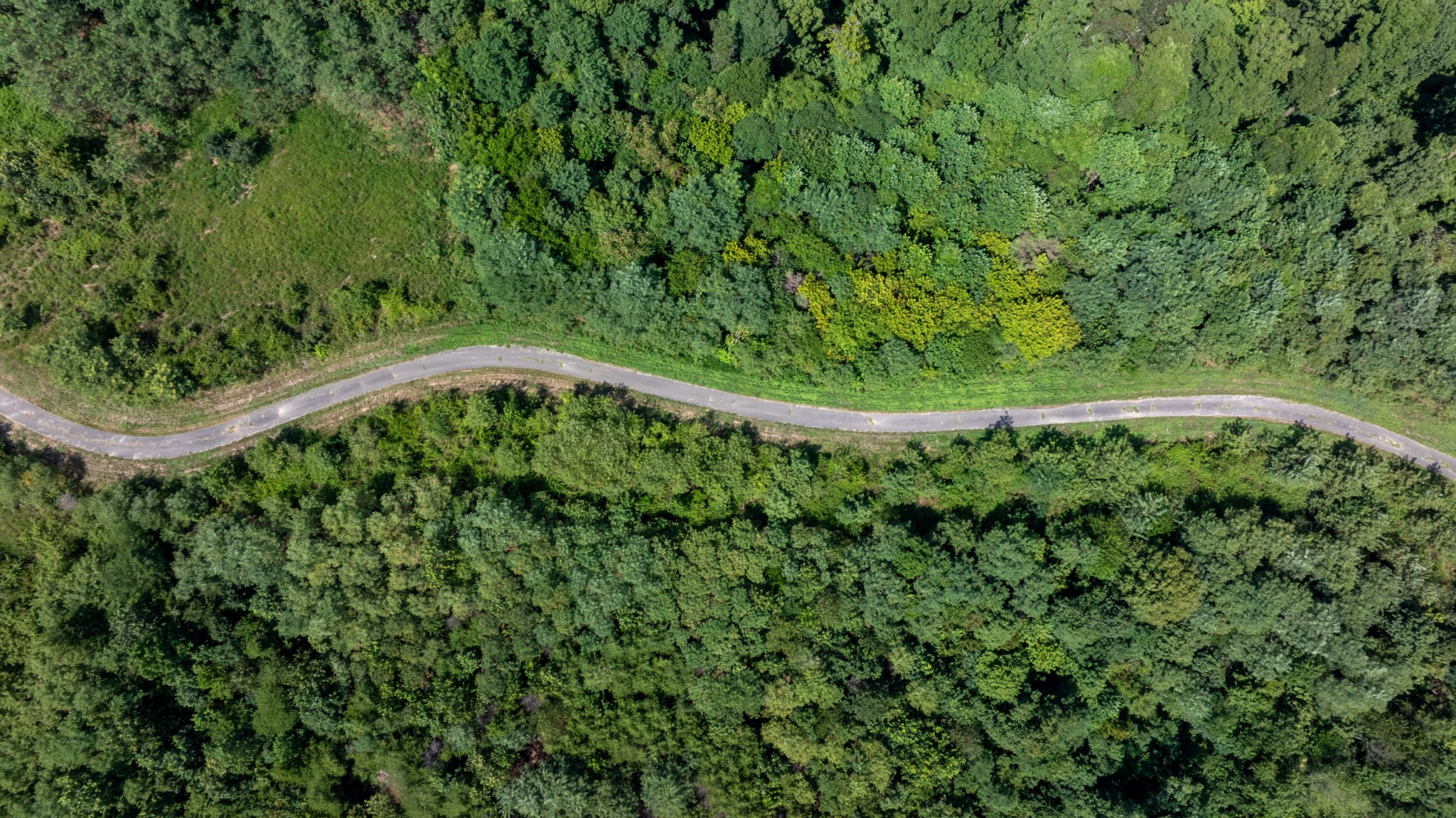 555 New Era Bluff Rd Property Photo 60