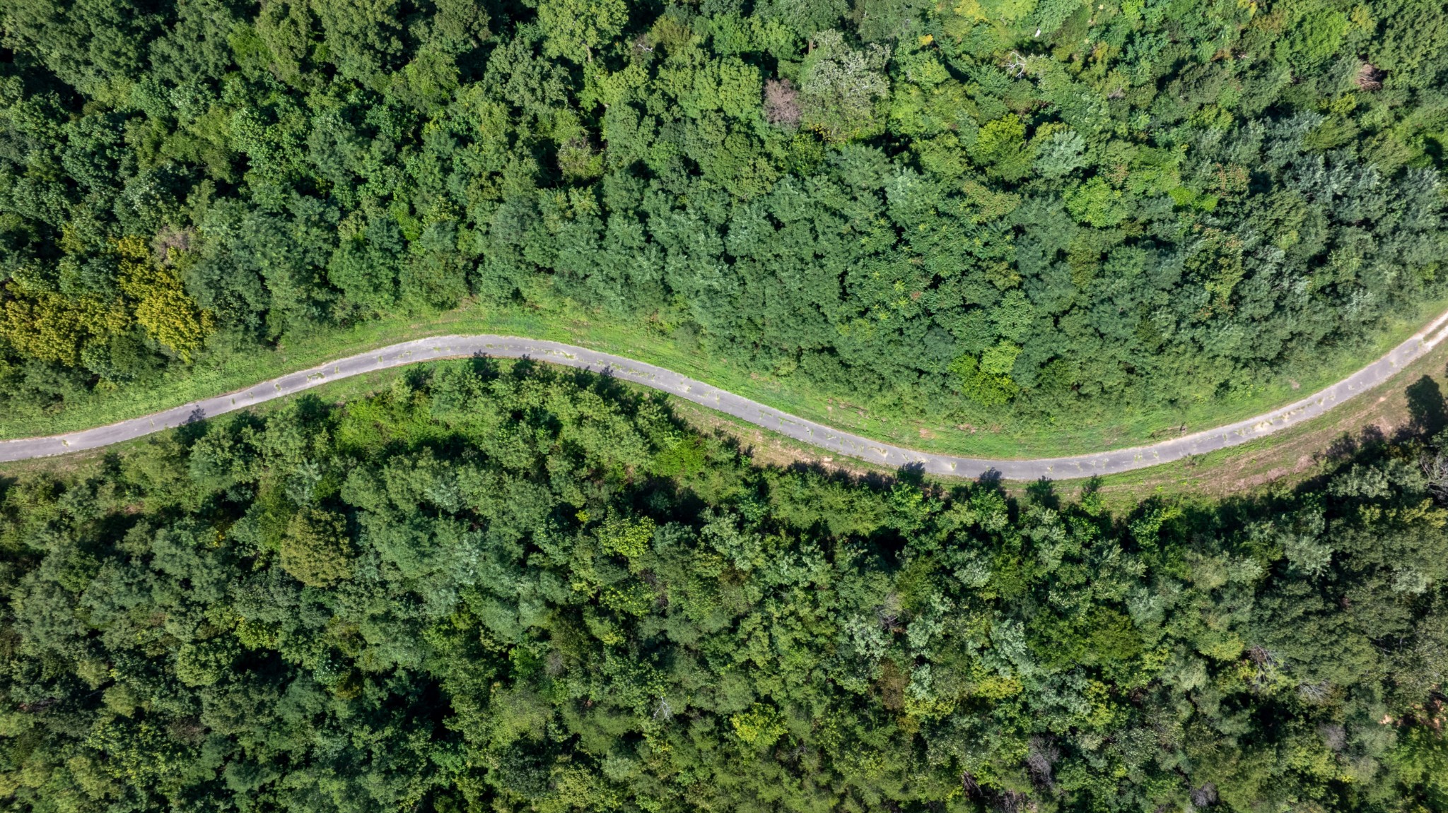 555 New Era Bluff Rd Property Photo 61