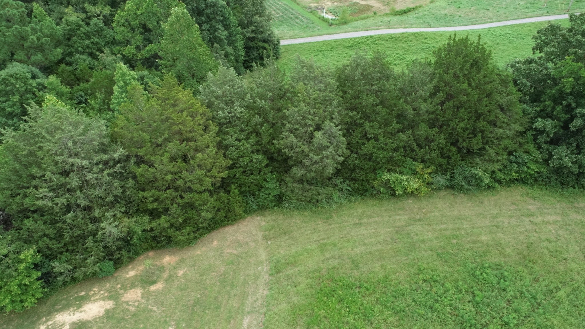 0 Dunn Rd Property Photo 3