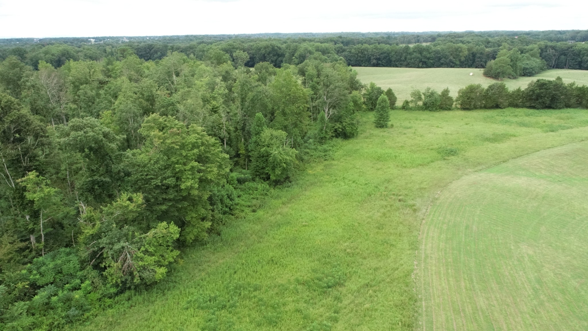 0 Dunn Rd Property Photo 4