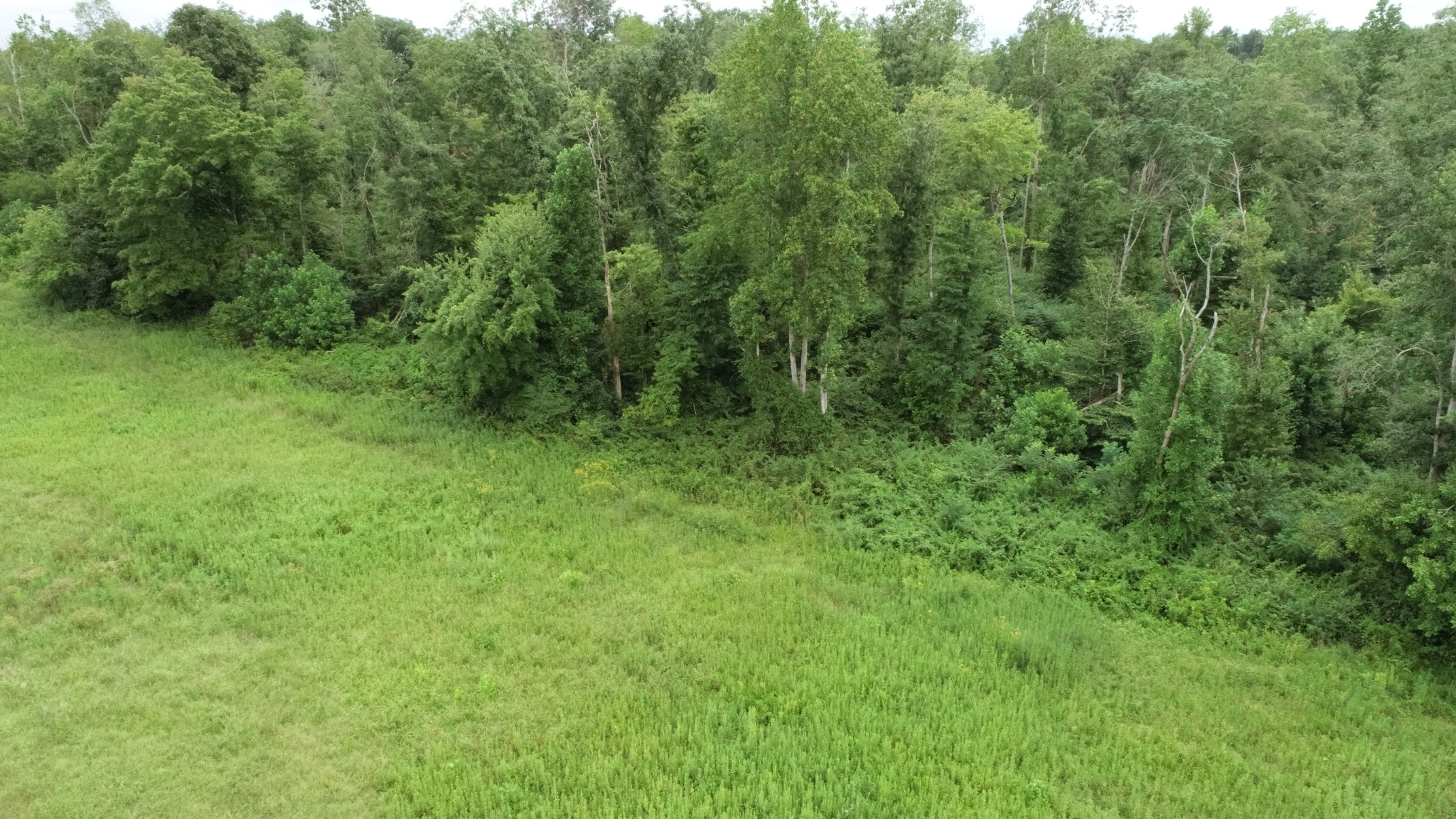 0 Dunn Rd Property Photo 5