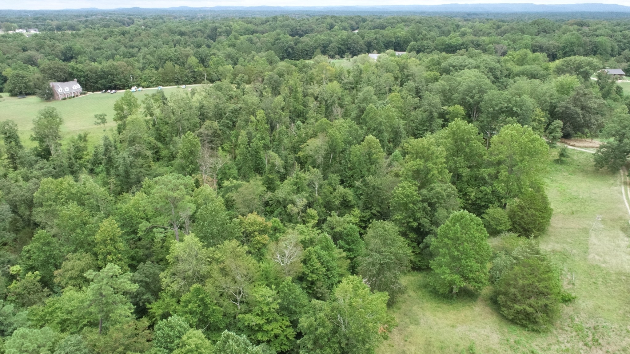 0 Dunn Rd Property Photo 6