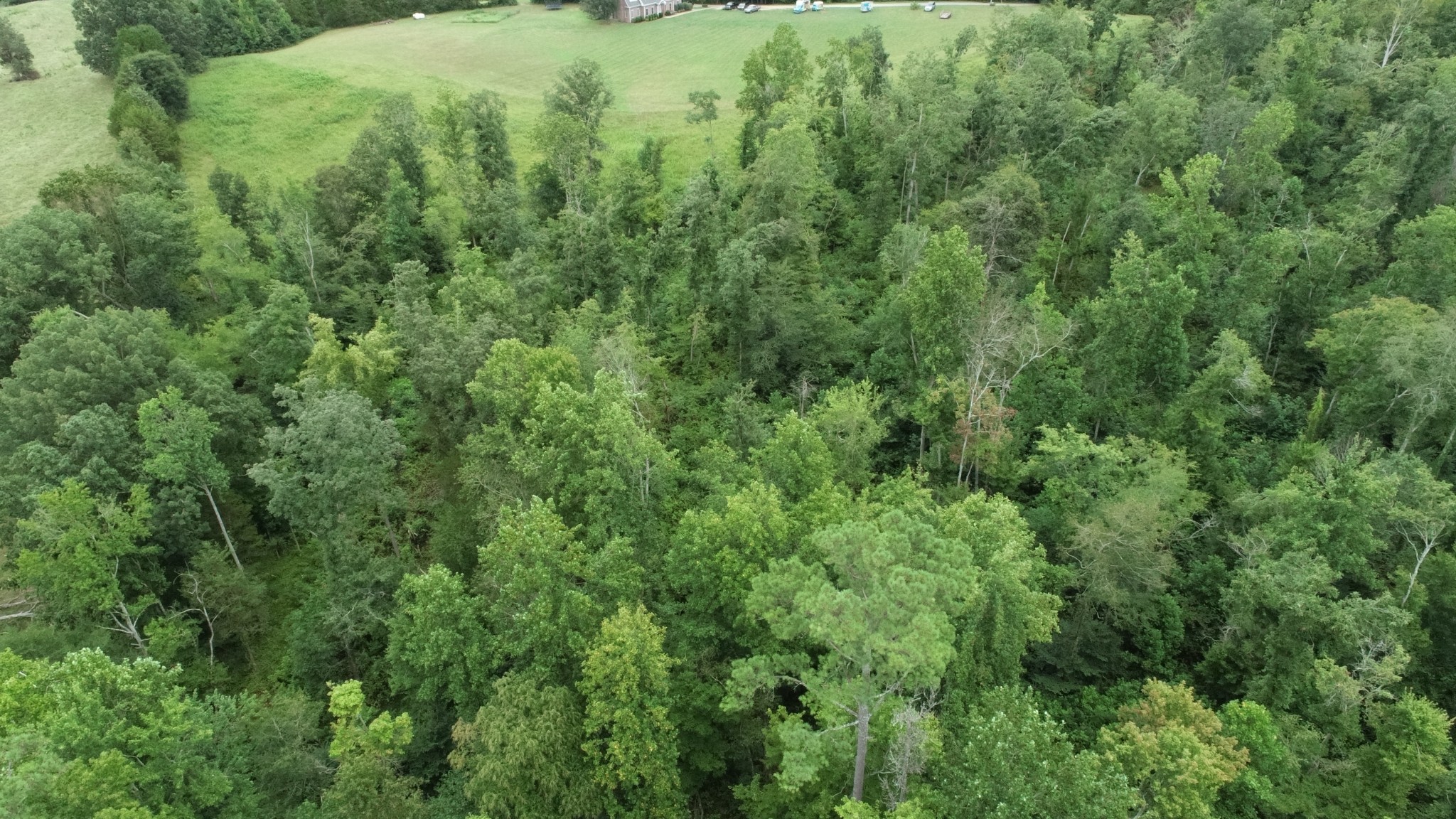 0 Dunn Rd Property Photo 9