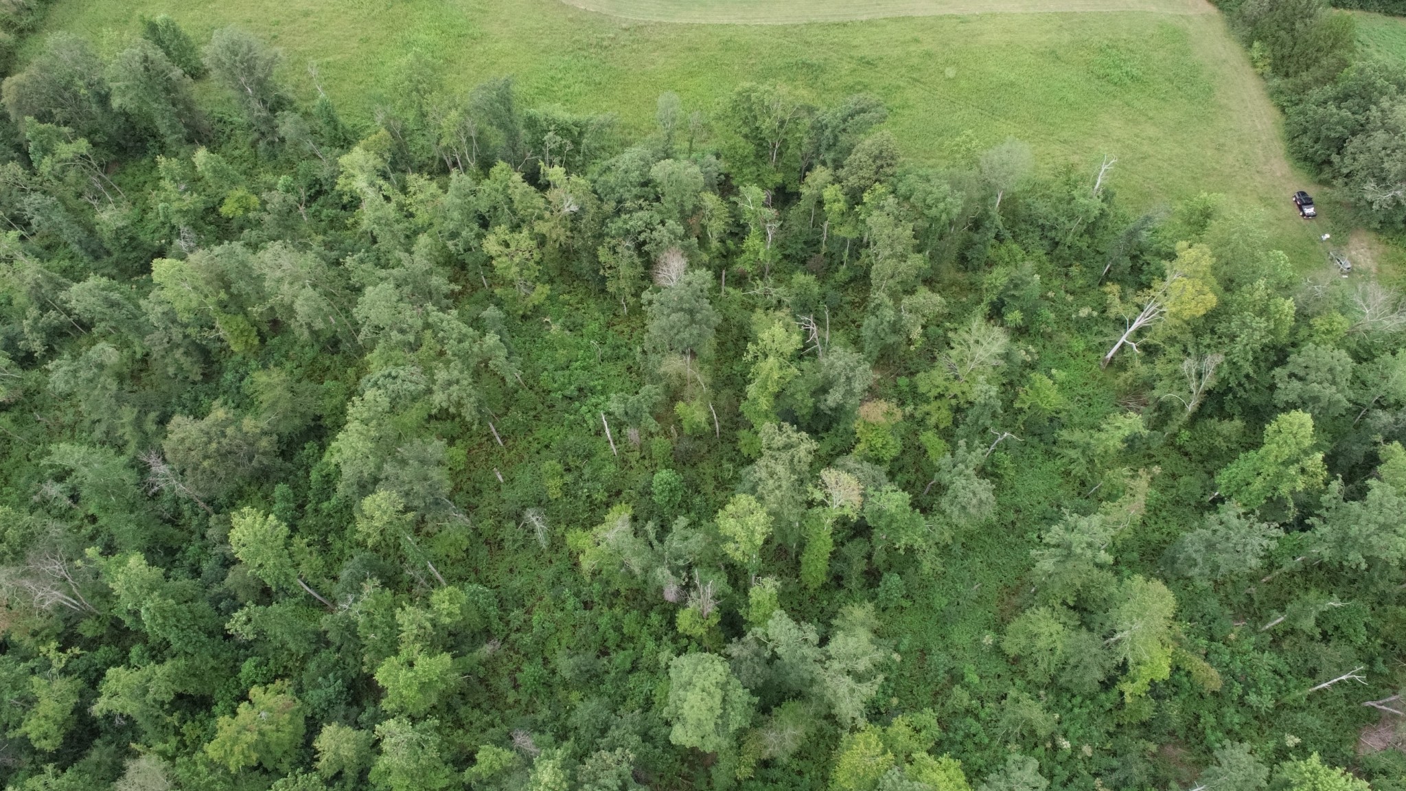 0 Dunn Rd Property Photo 10