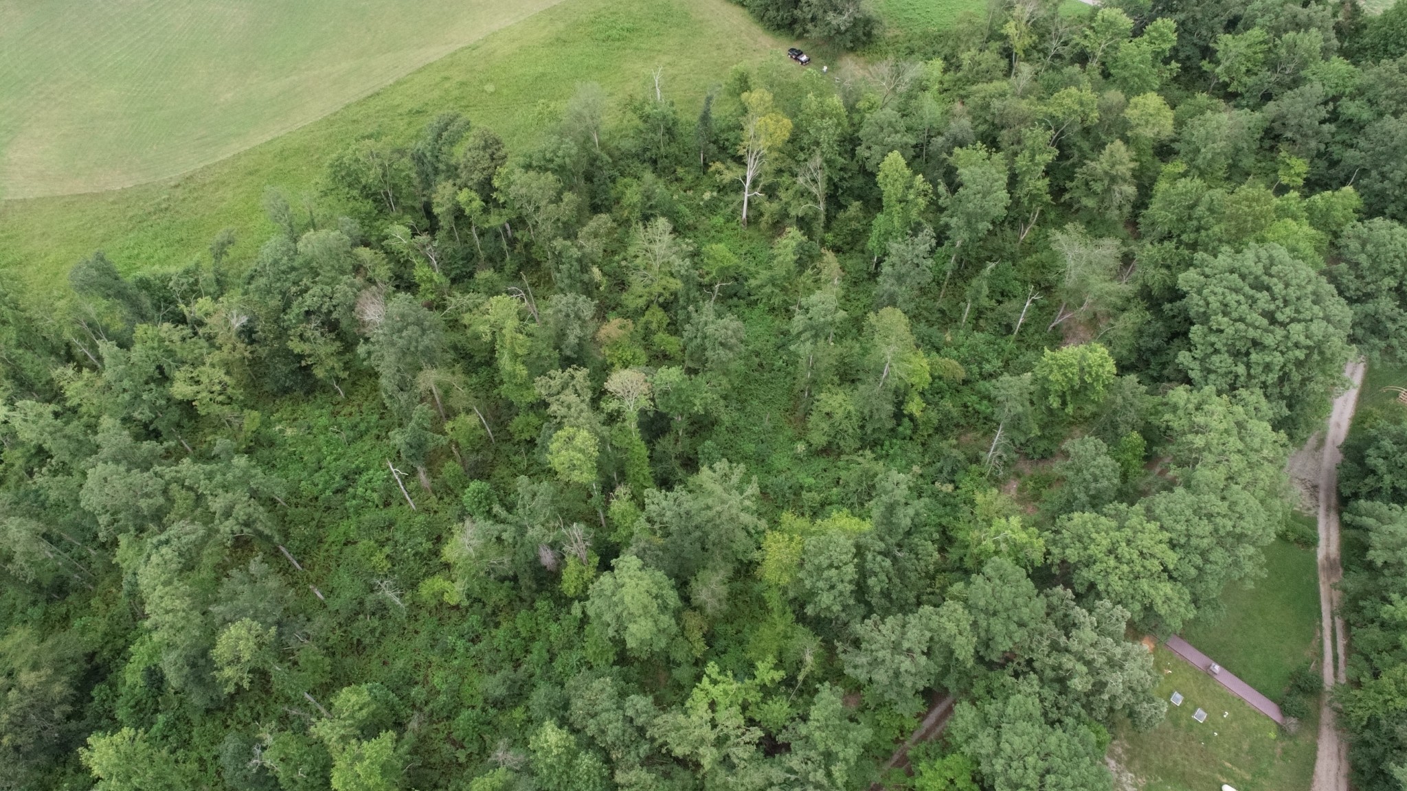 0 Dunn Rd Property Photo 11