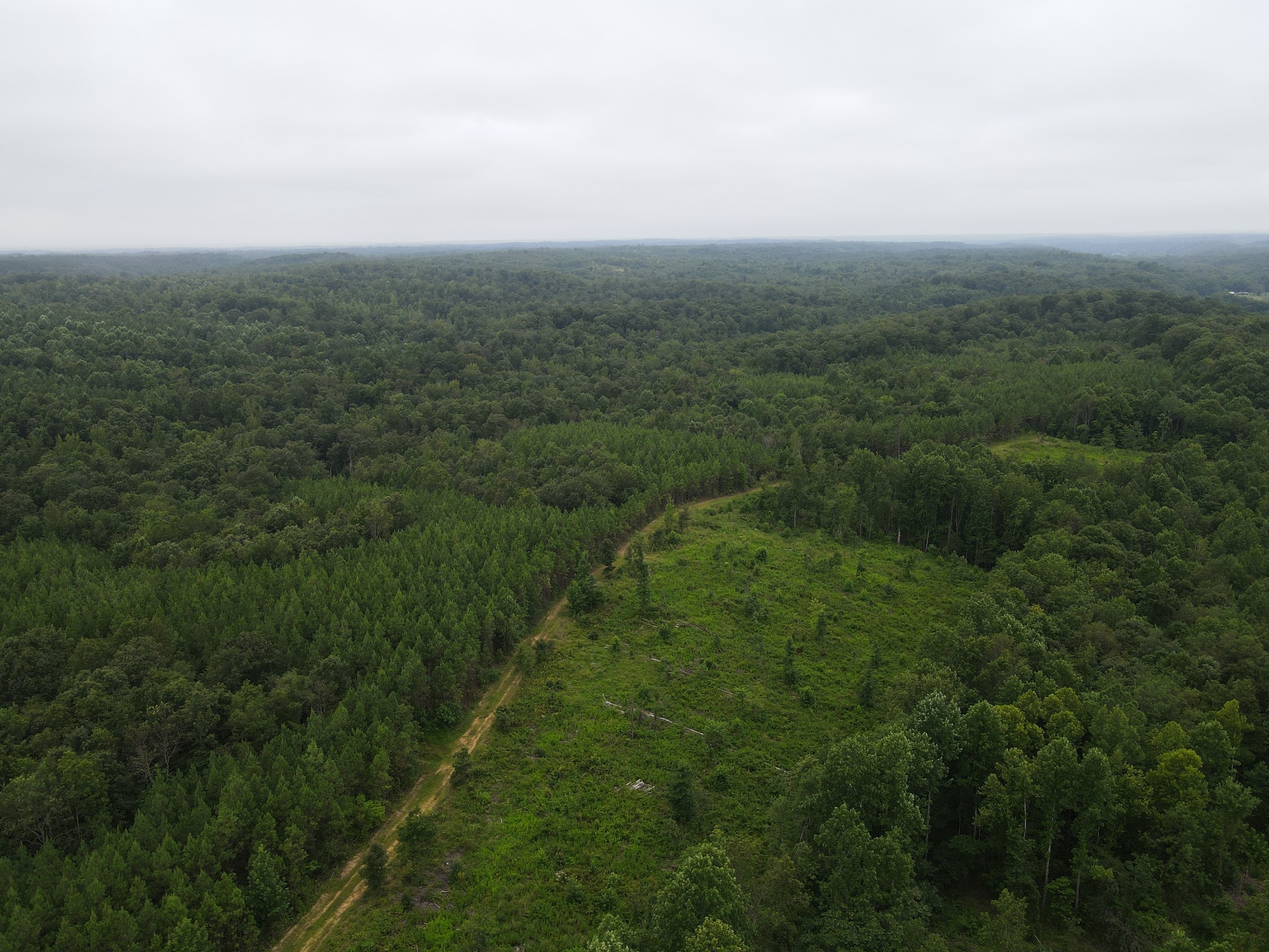 0 Old Highway 18 Property Photo 6