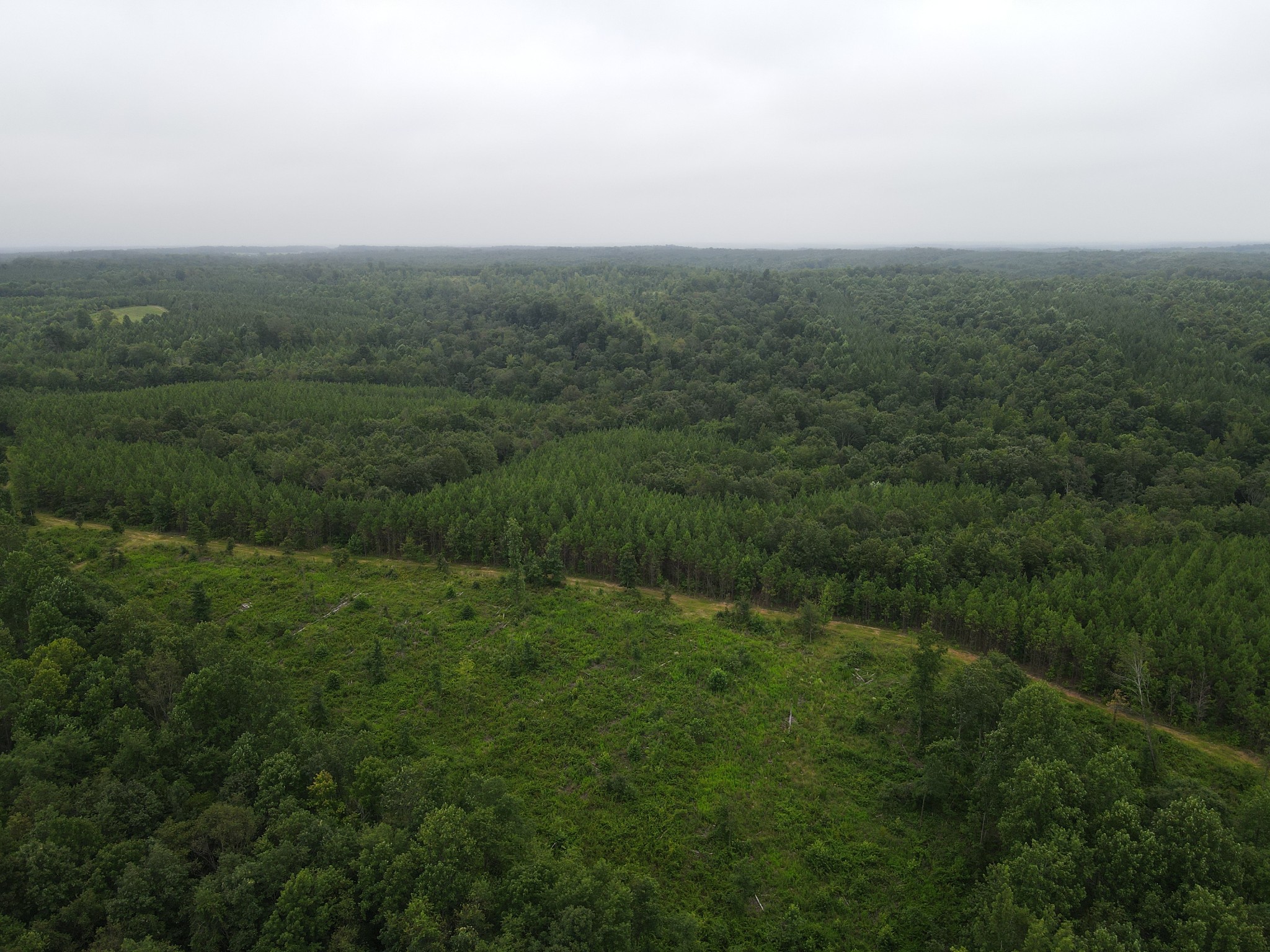 0 Old Highway 18 Property Photo 7