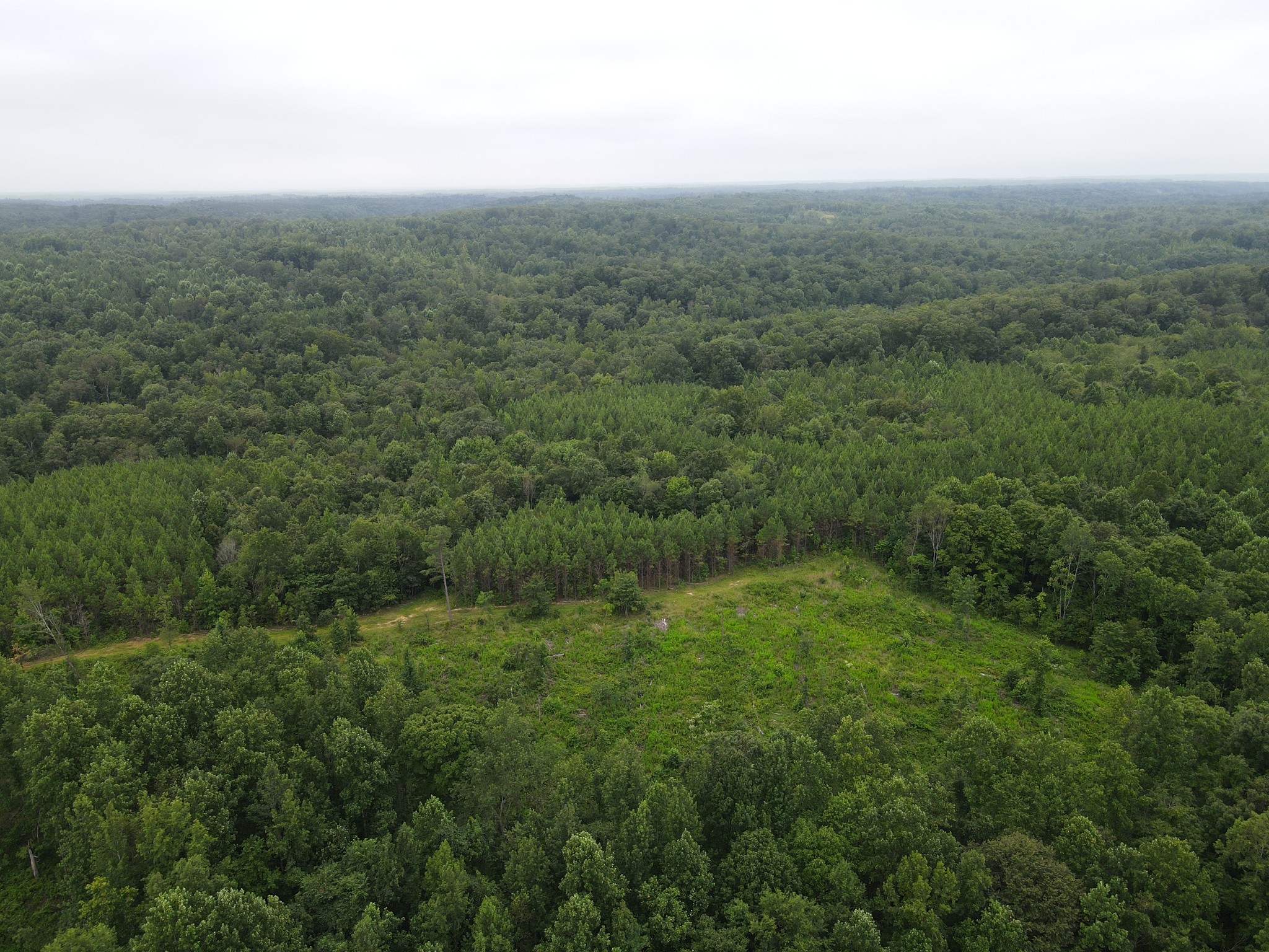 0 Old Highway 18 Property Photo 8