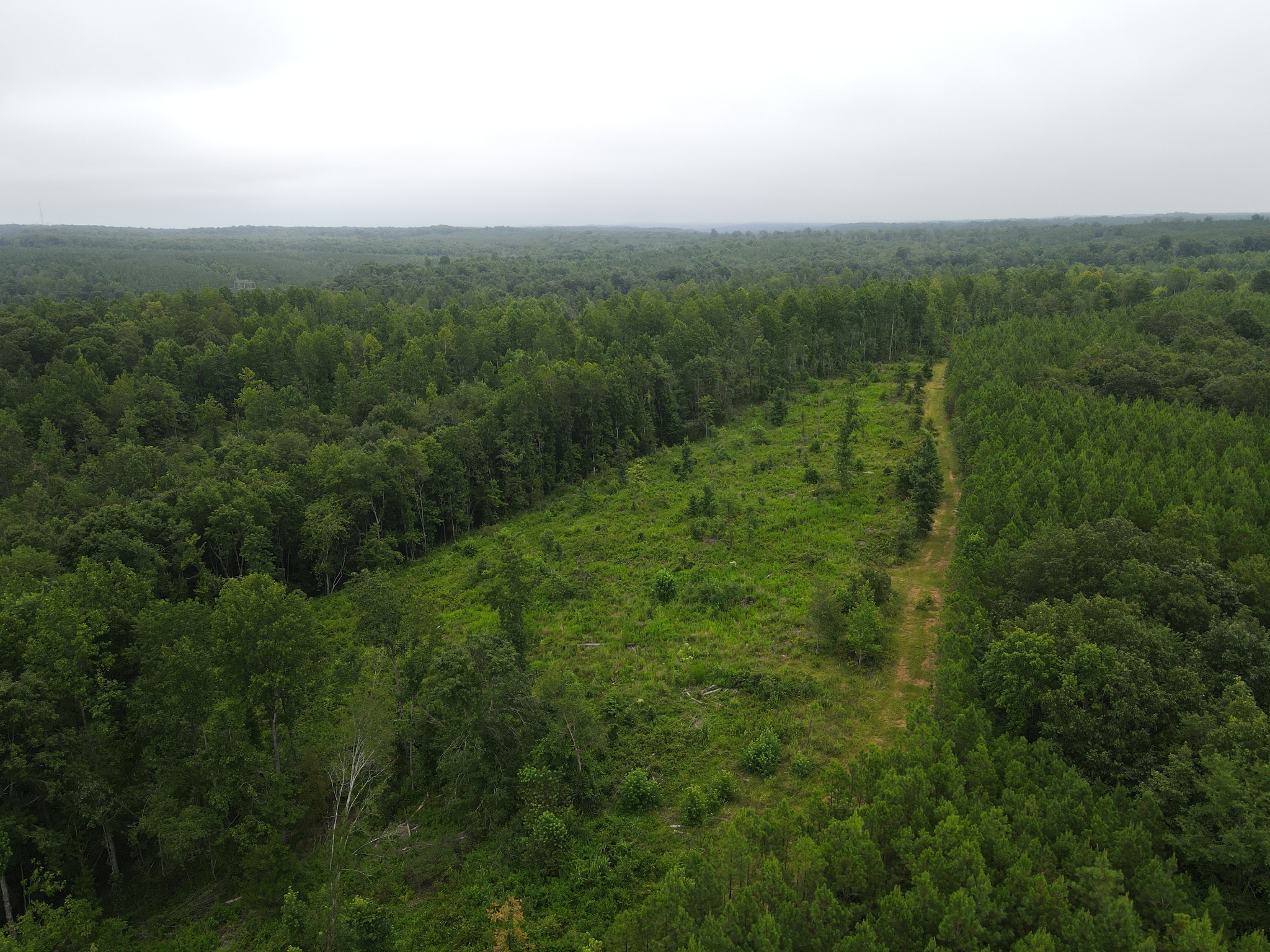 0 Old Highway 18 Property Photo 9