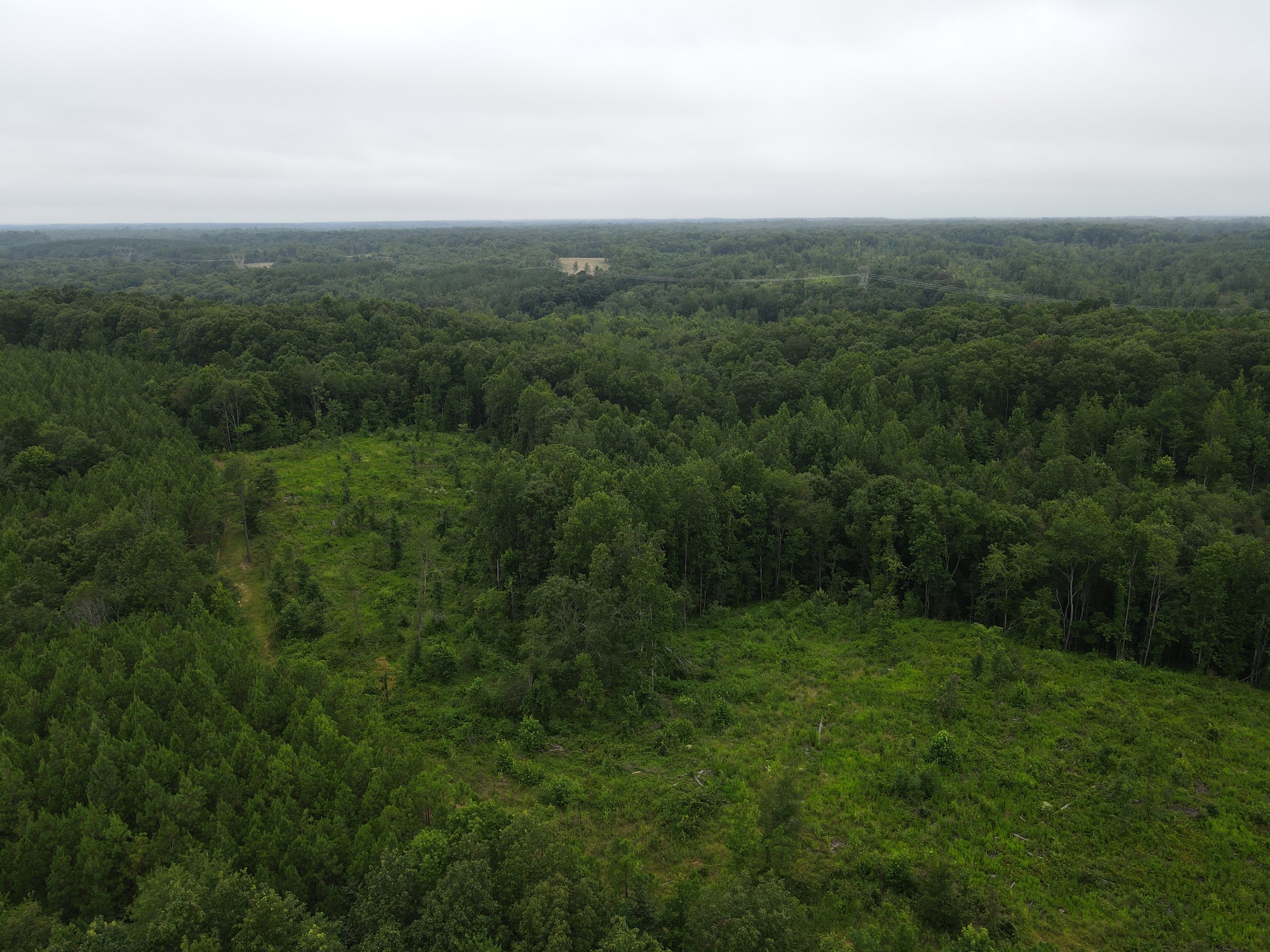 0 Old Highway 18 Property Photo 11