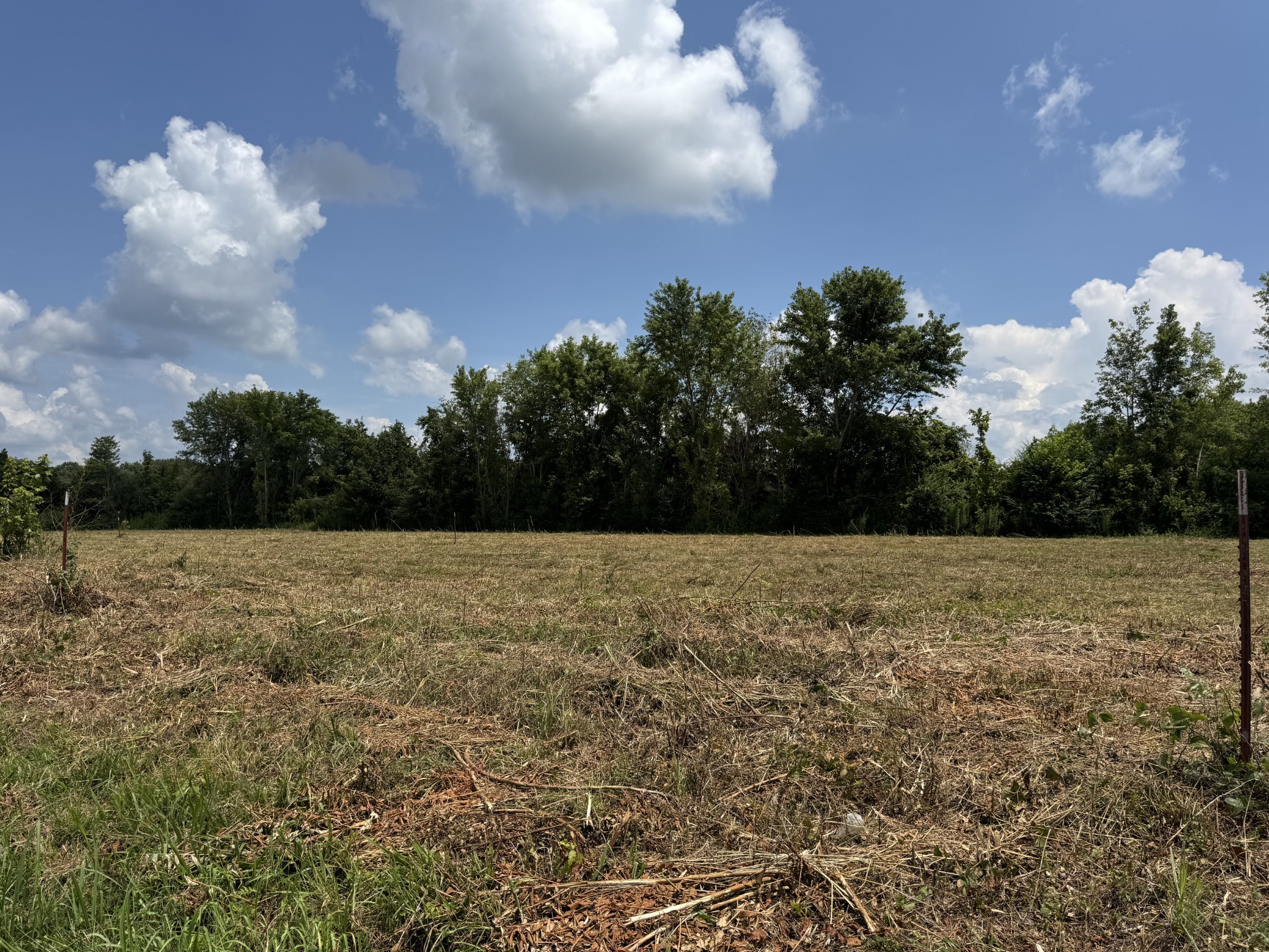 0 Shaw St Property Photo 3