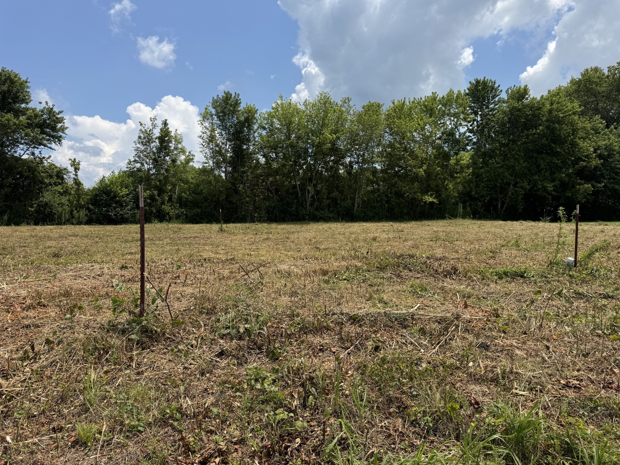 0 Shaw St Property Photo 1