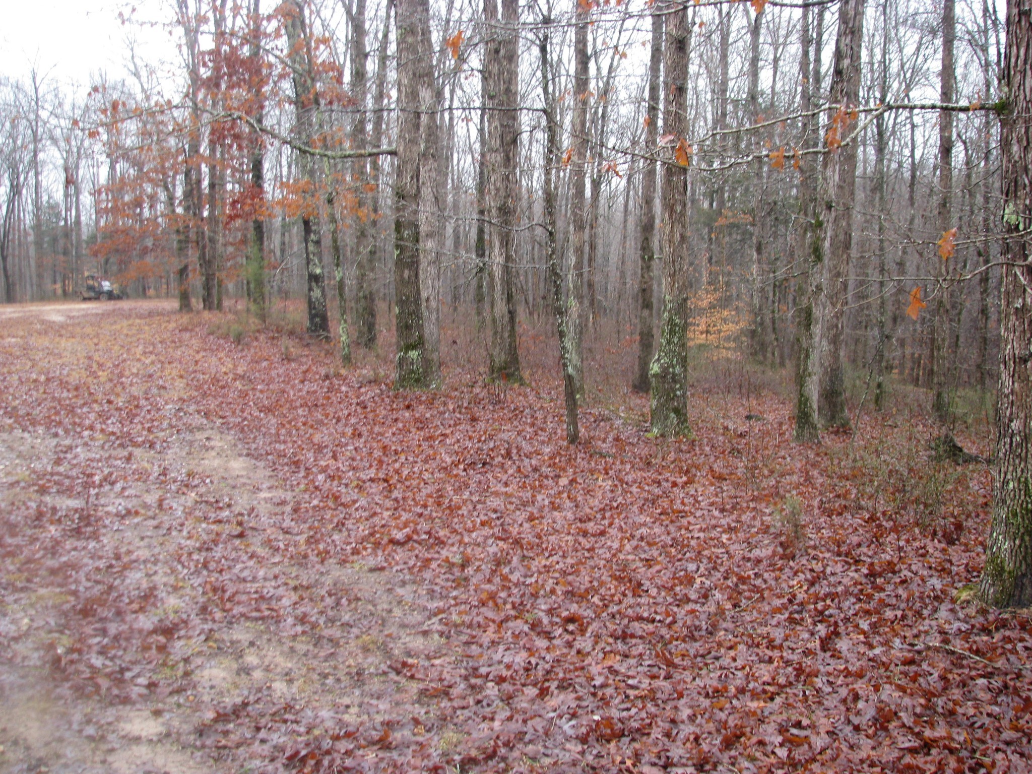 0 Three Rivers Drive Property Photo 1