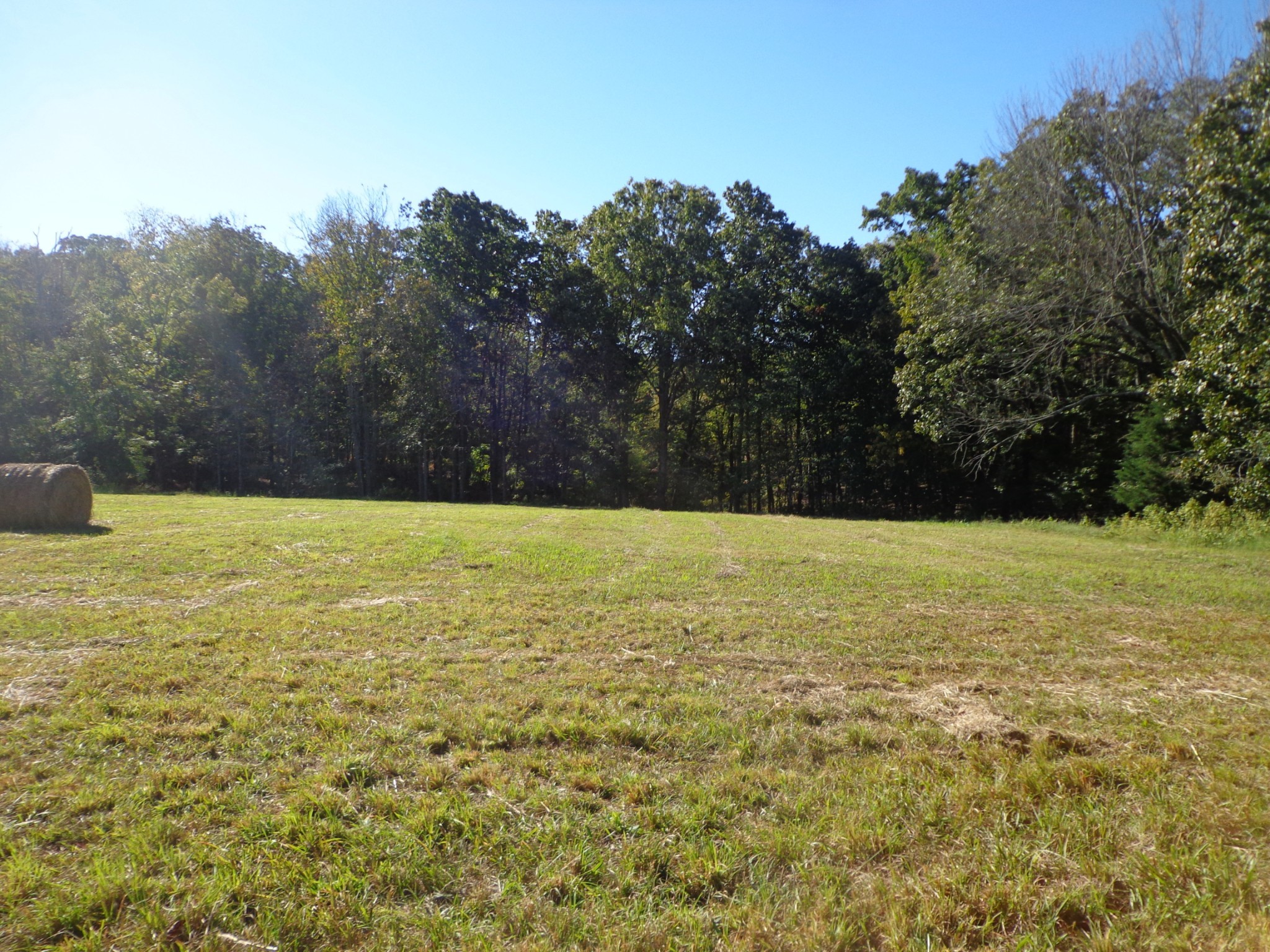 0 Halls Creek Road Property Photo 1