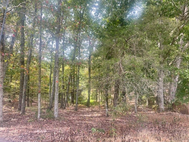 0 Halls Creek Road Property Photo 4