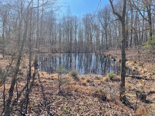 0 Halls Creek Road Property Photo 5