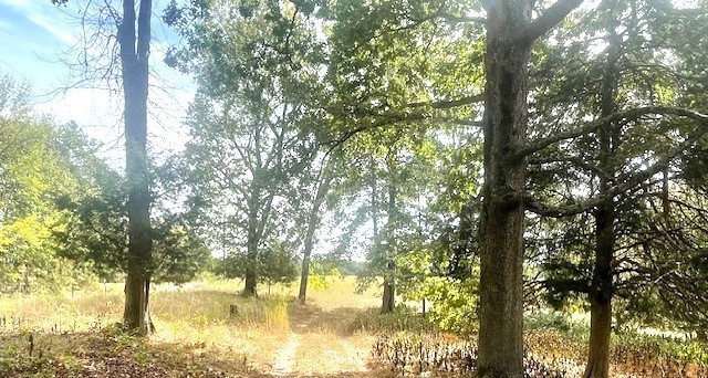 0 Halls Creek Road Property Photo 7