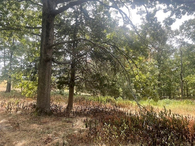 0 Halls Creek Road Property Photo 8