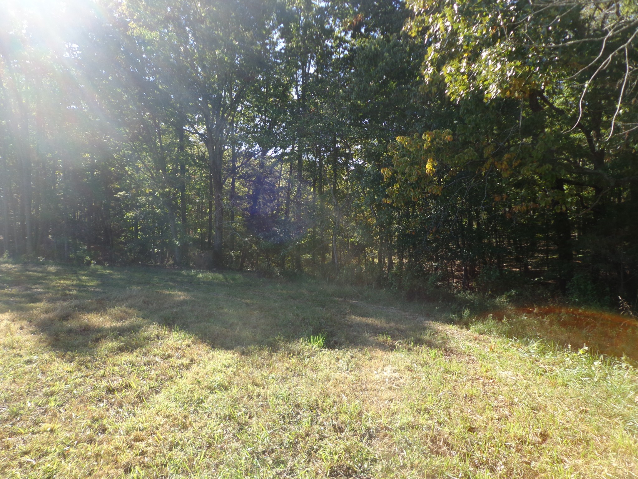 0 Halls Creek Road Property Photo 9