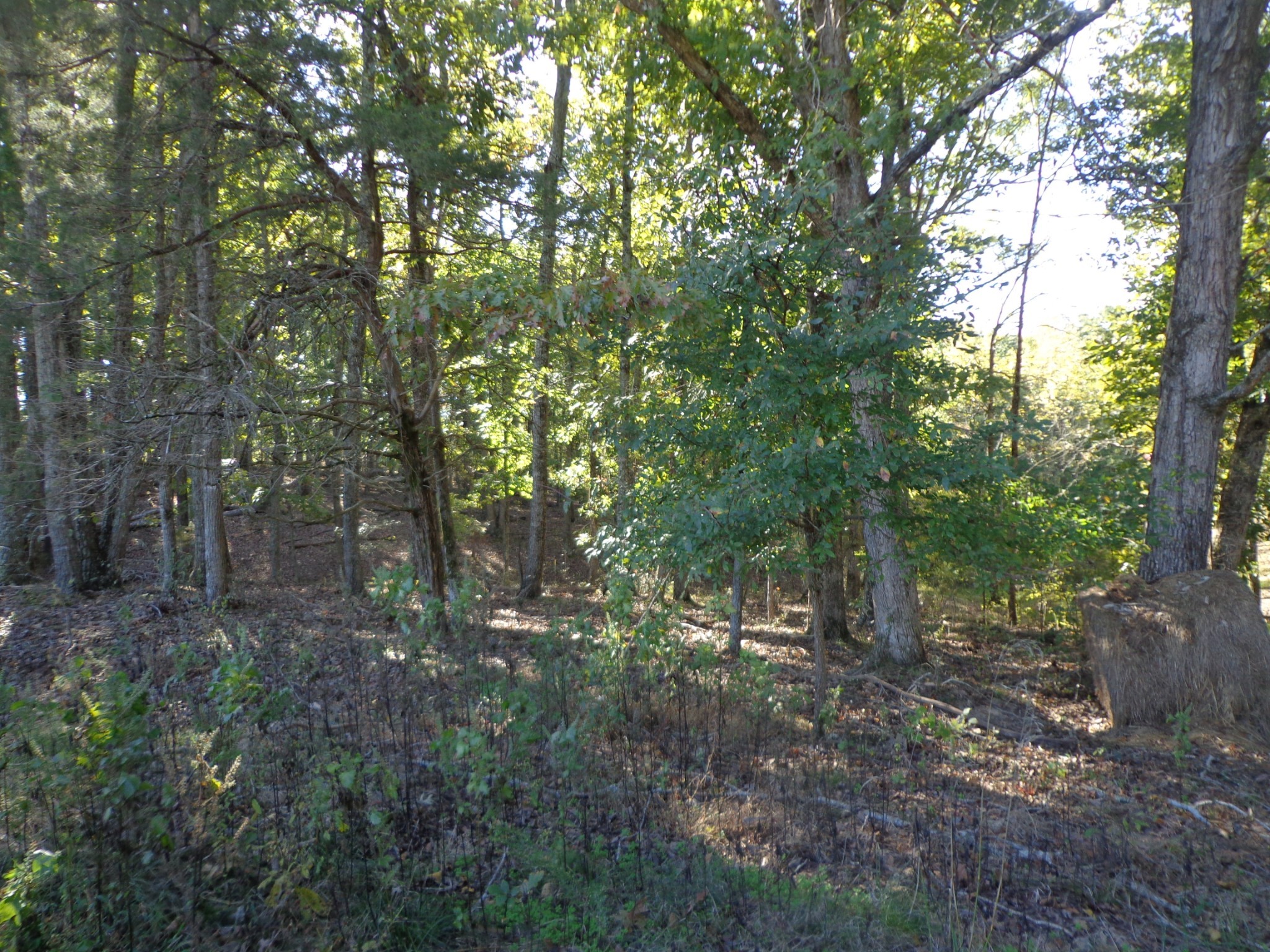 0 Halls Creek Road Property Photo 10