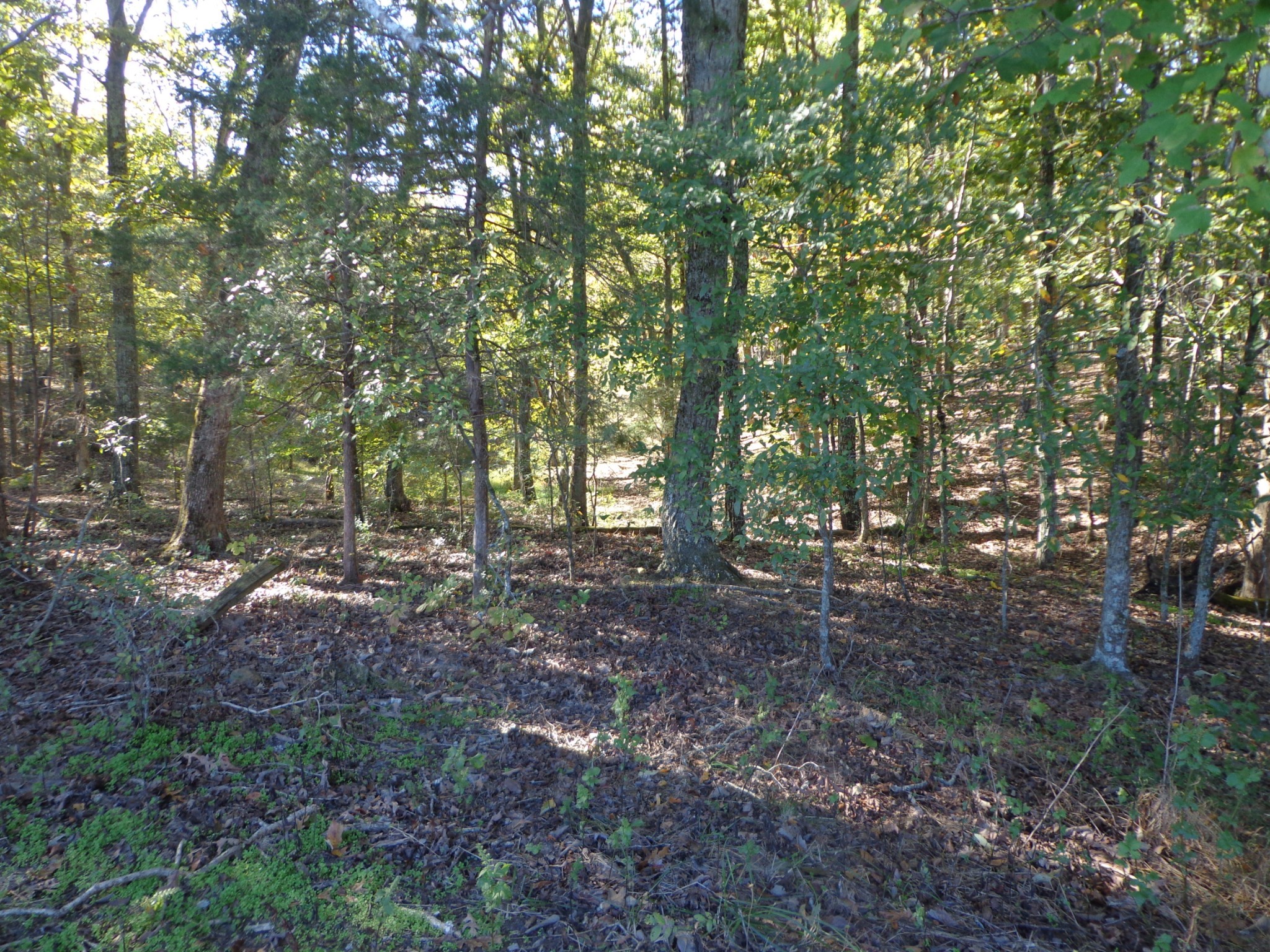 0 Halls Creek Road Property Photo 12