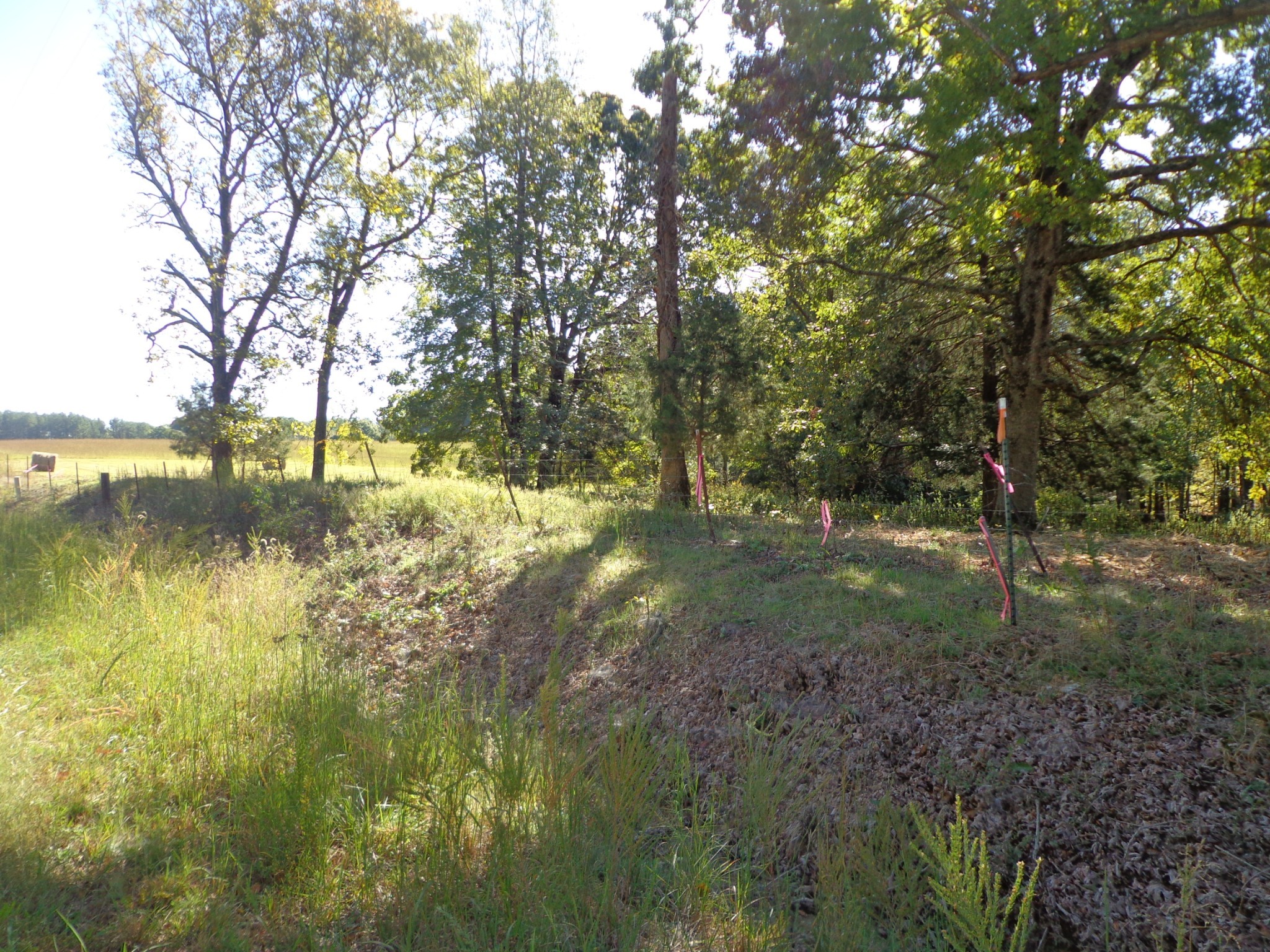 0 Halls Creek Road Property Photo 14