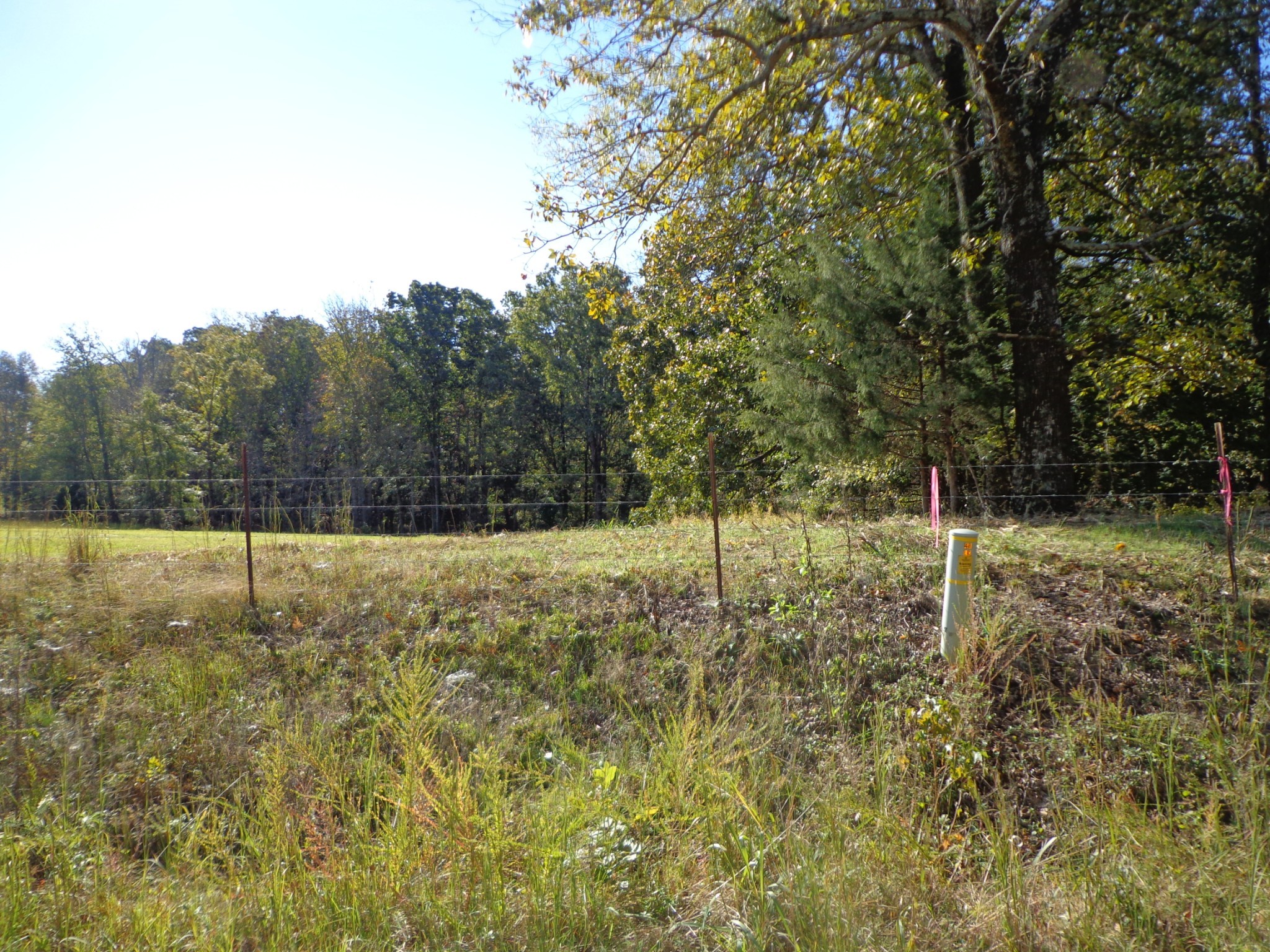 0 Halls Creek Road Property Photo 15