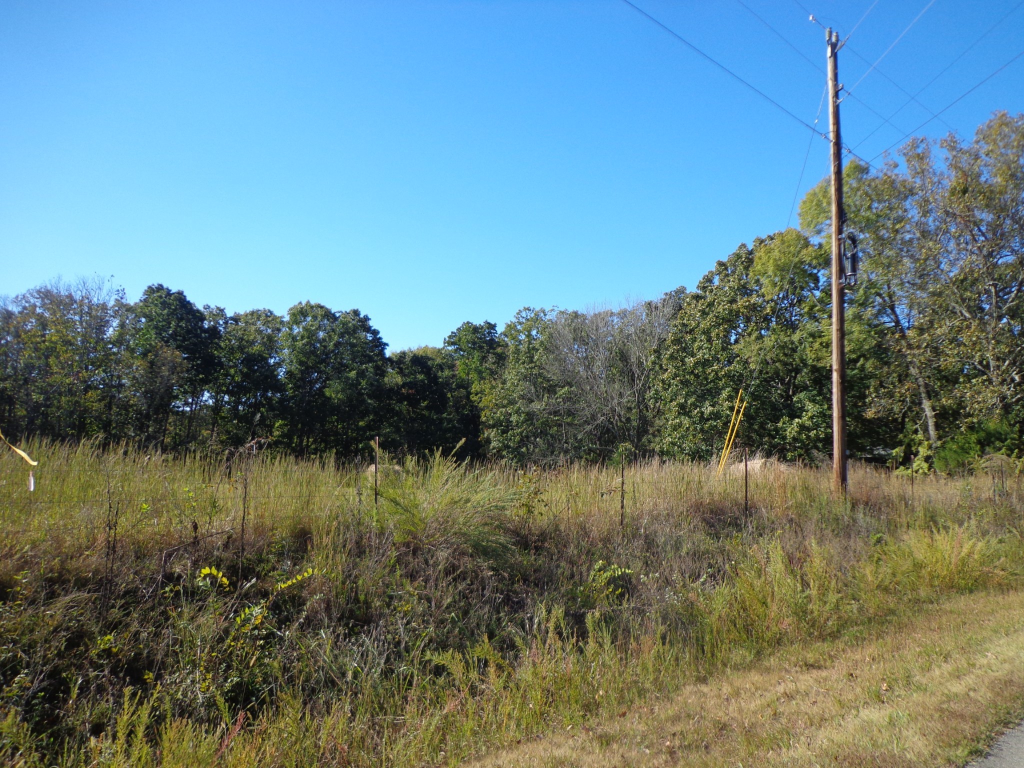 0 Halls Creek Road Property Photo 16