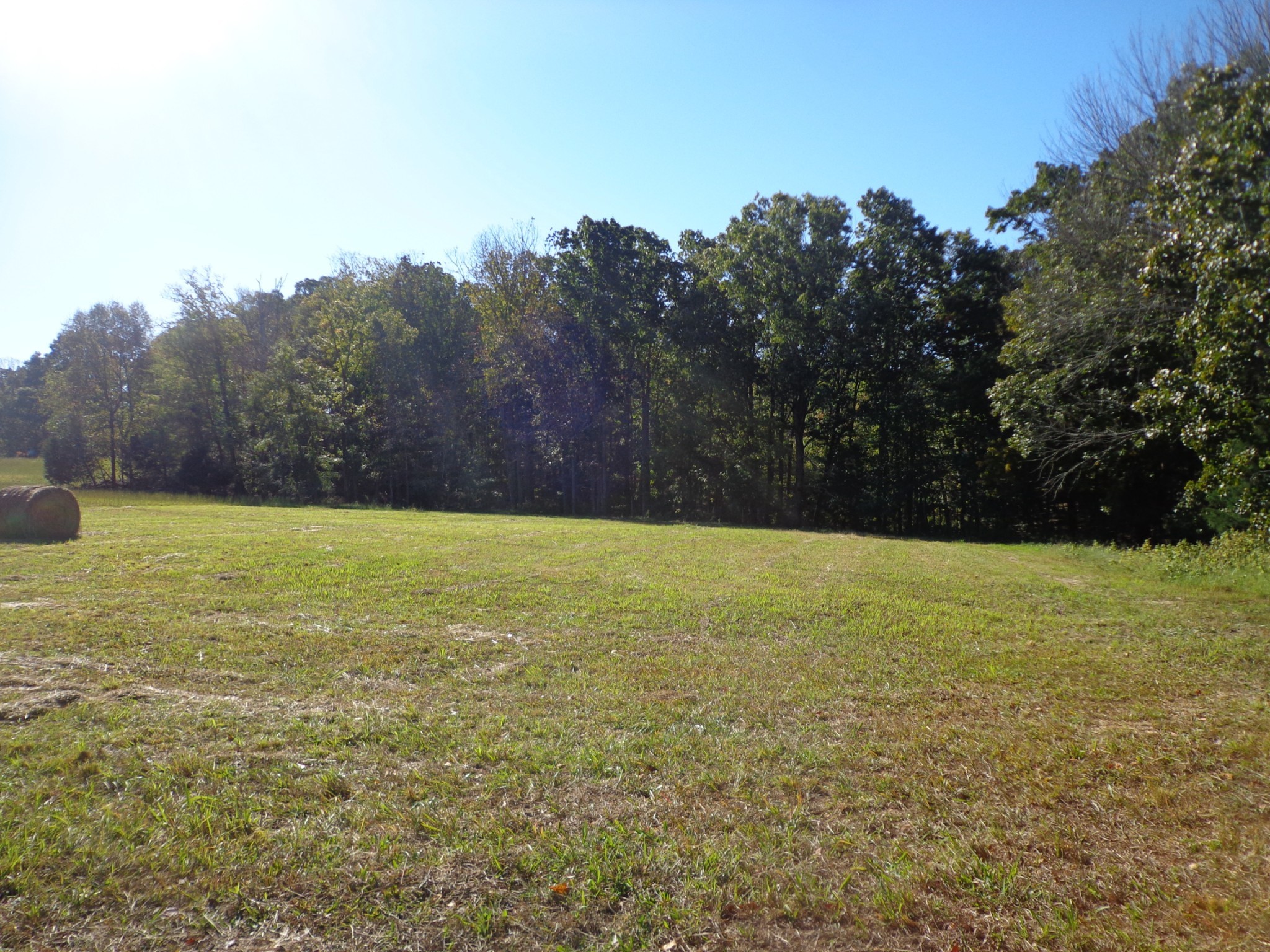 0 Halls Creek Road Property Photo 17