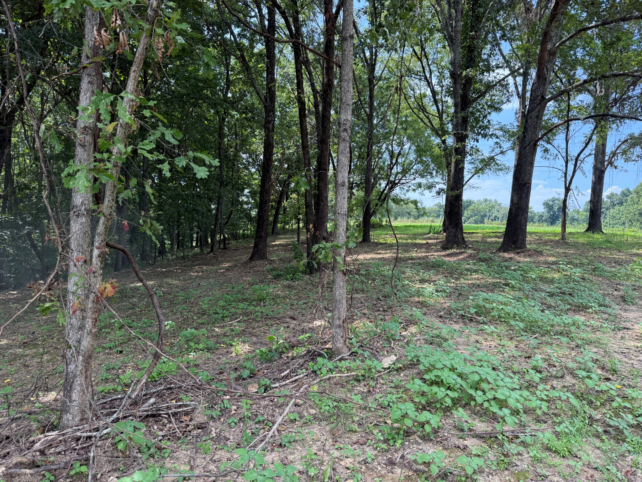 12a Bunker Hill Road Property Photo 3