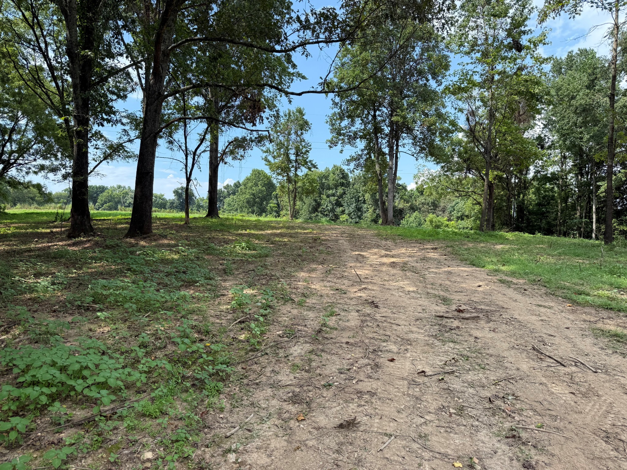 12a Bunker Hill Road Property Photo 4