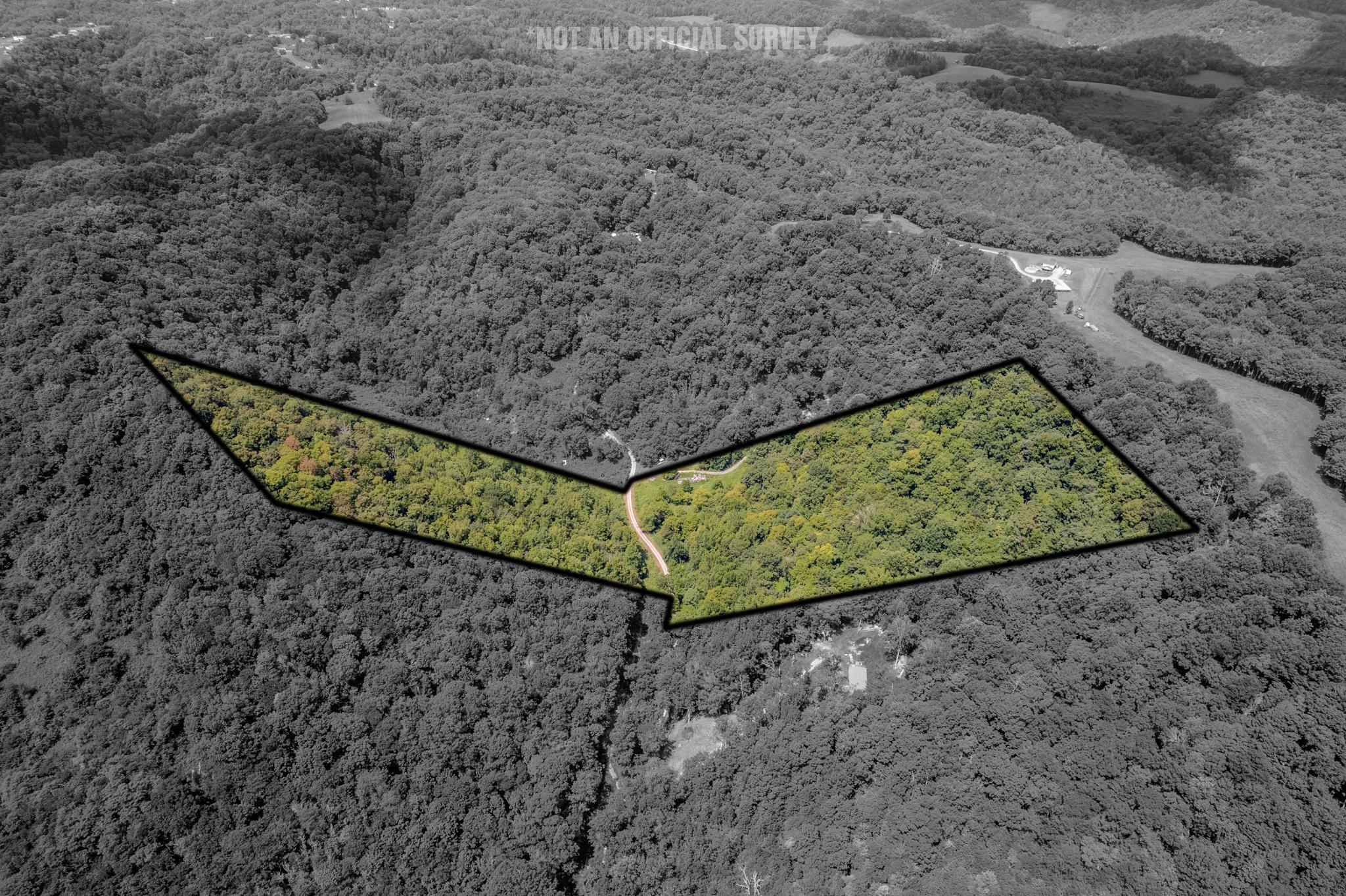 0 Watts Hollow Rd Property Photo 1