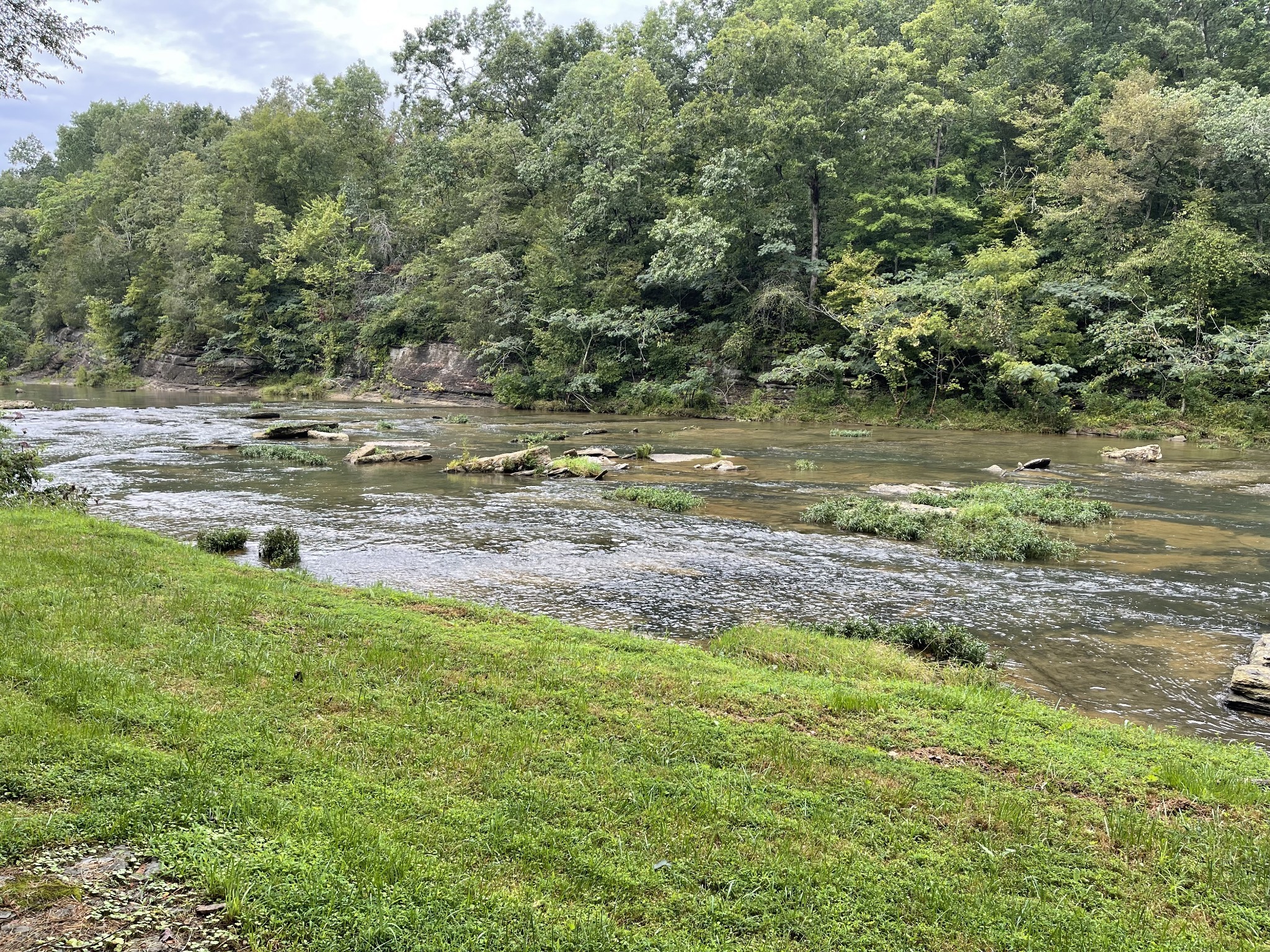 0 Cove Ln Property Photo 1