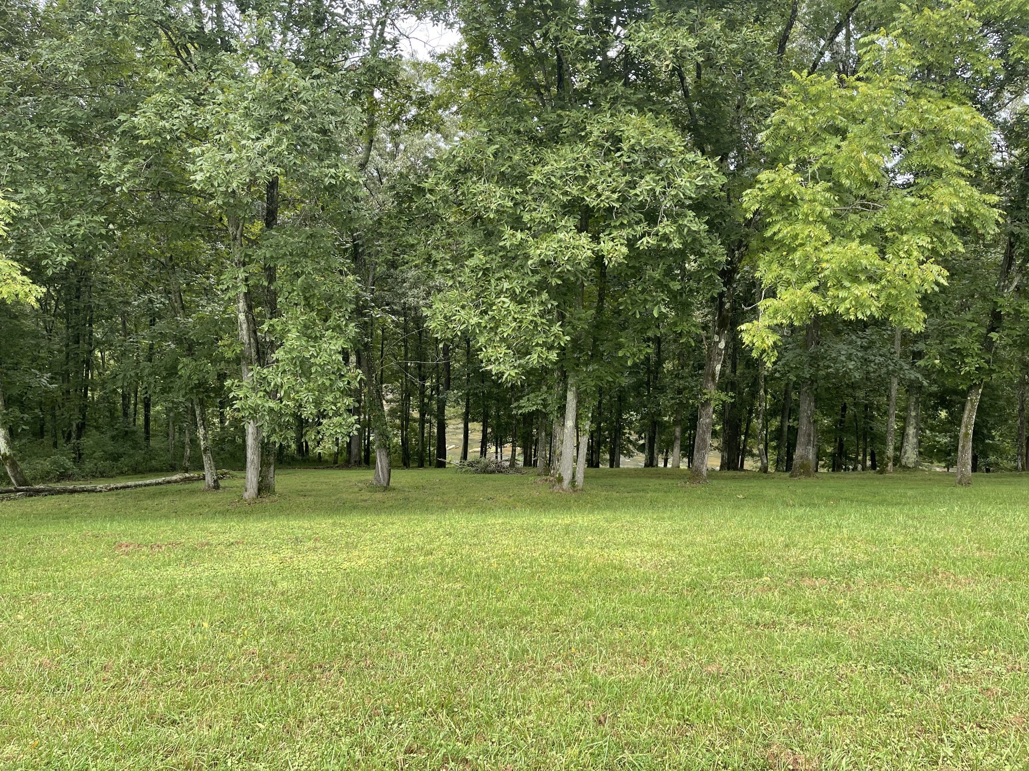 0 Cove Ln Property Photo 2