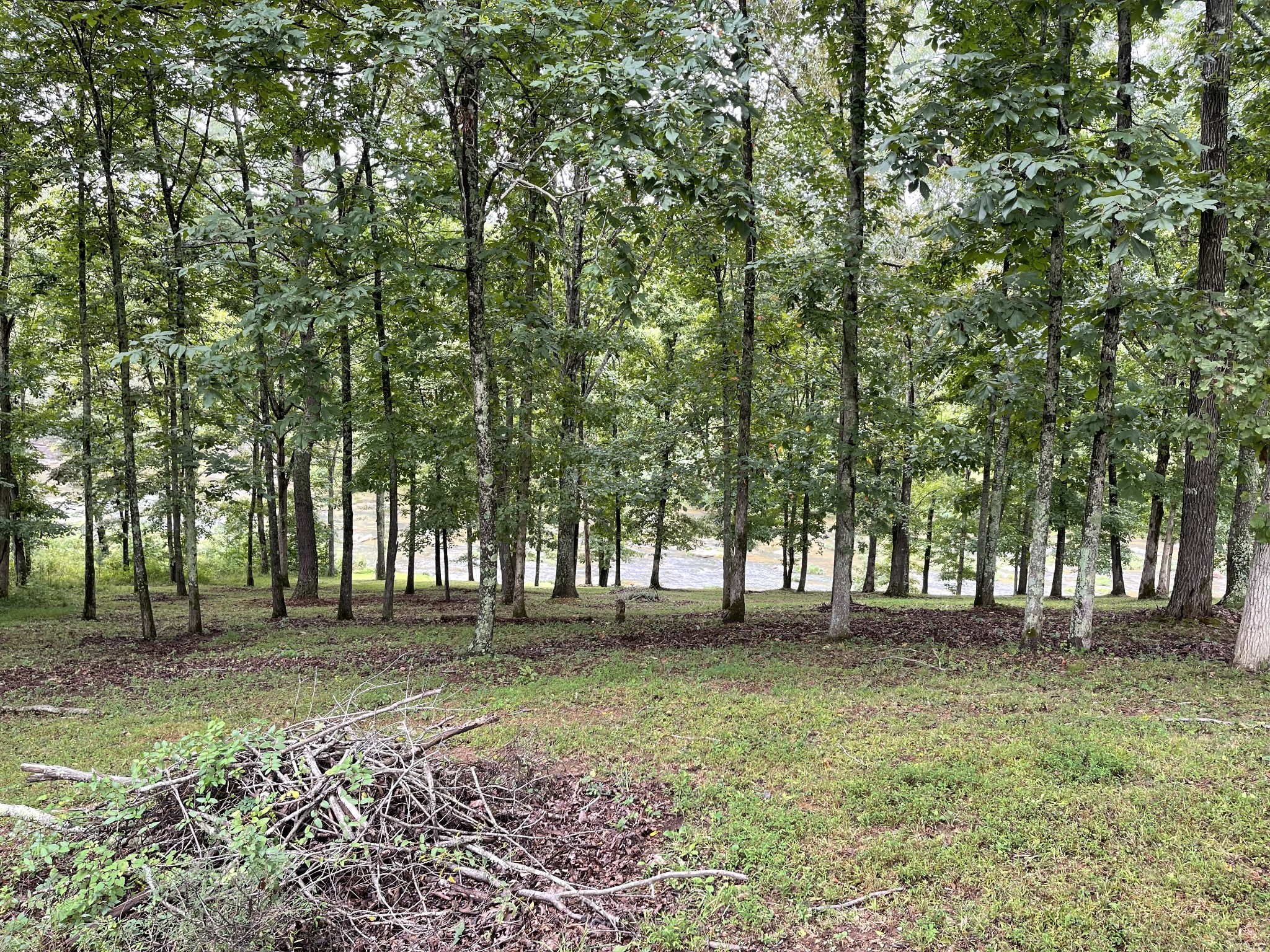 0 Cove Ln Property Photo 3