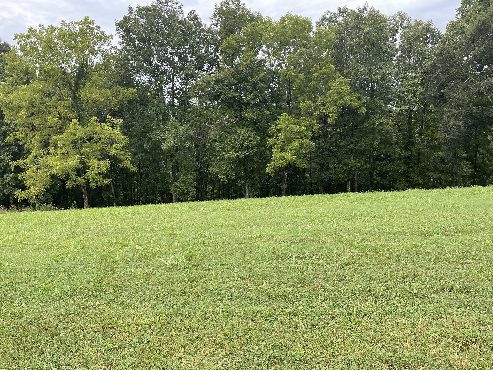 0 Cove Ln Property Photo 4