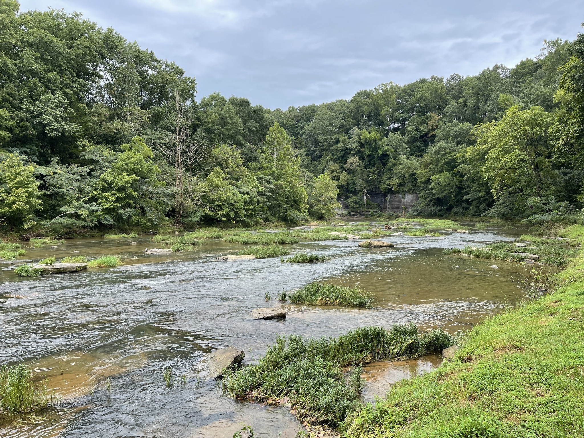 0 Cove Ln Property Photo 5