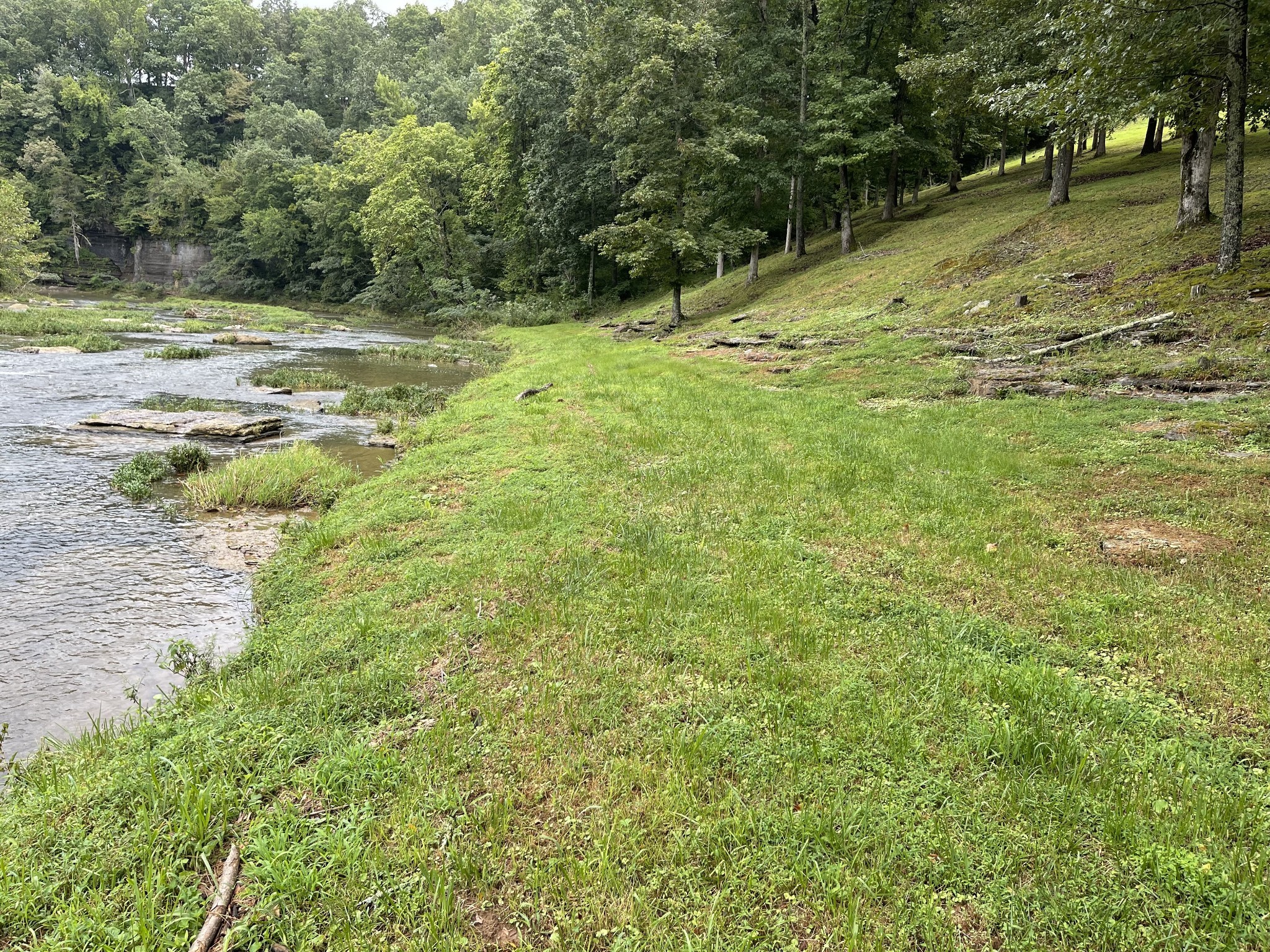 0 Cove Ln Property Photo 6